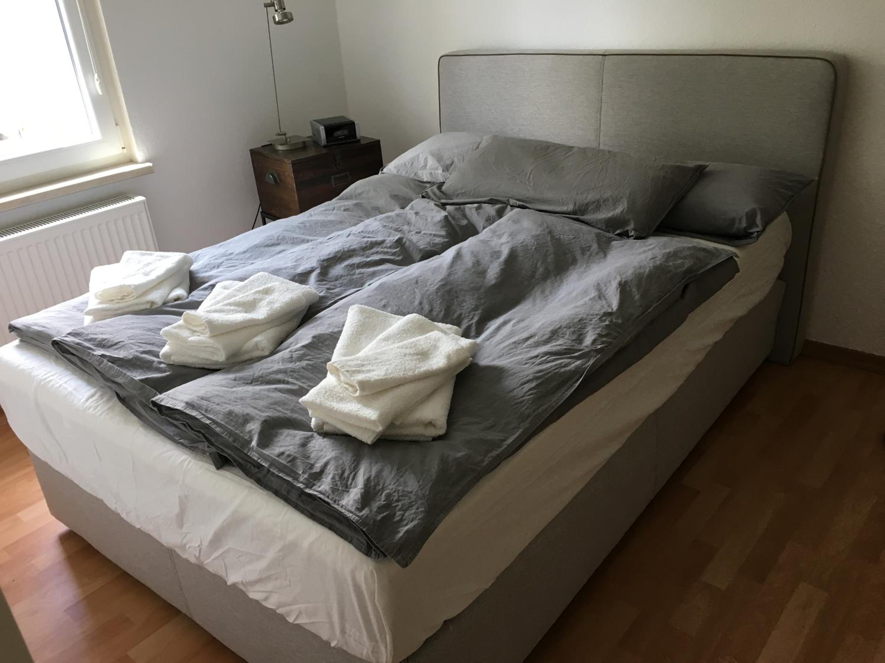 Ferienwohnung über dem Ilmpark view 5