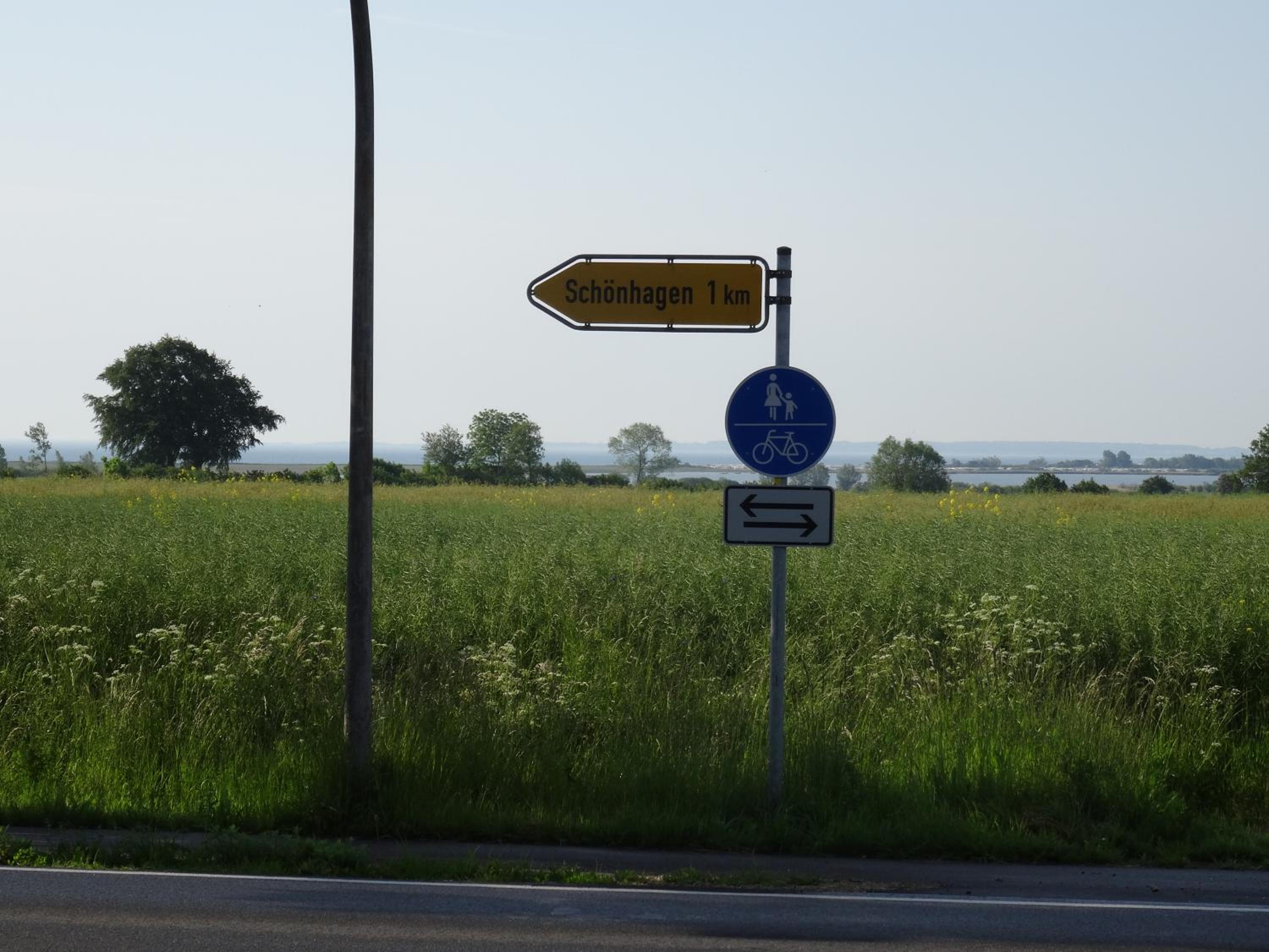 Photo 50
