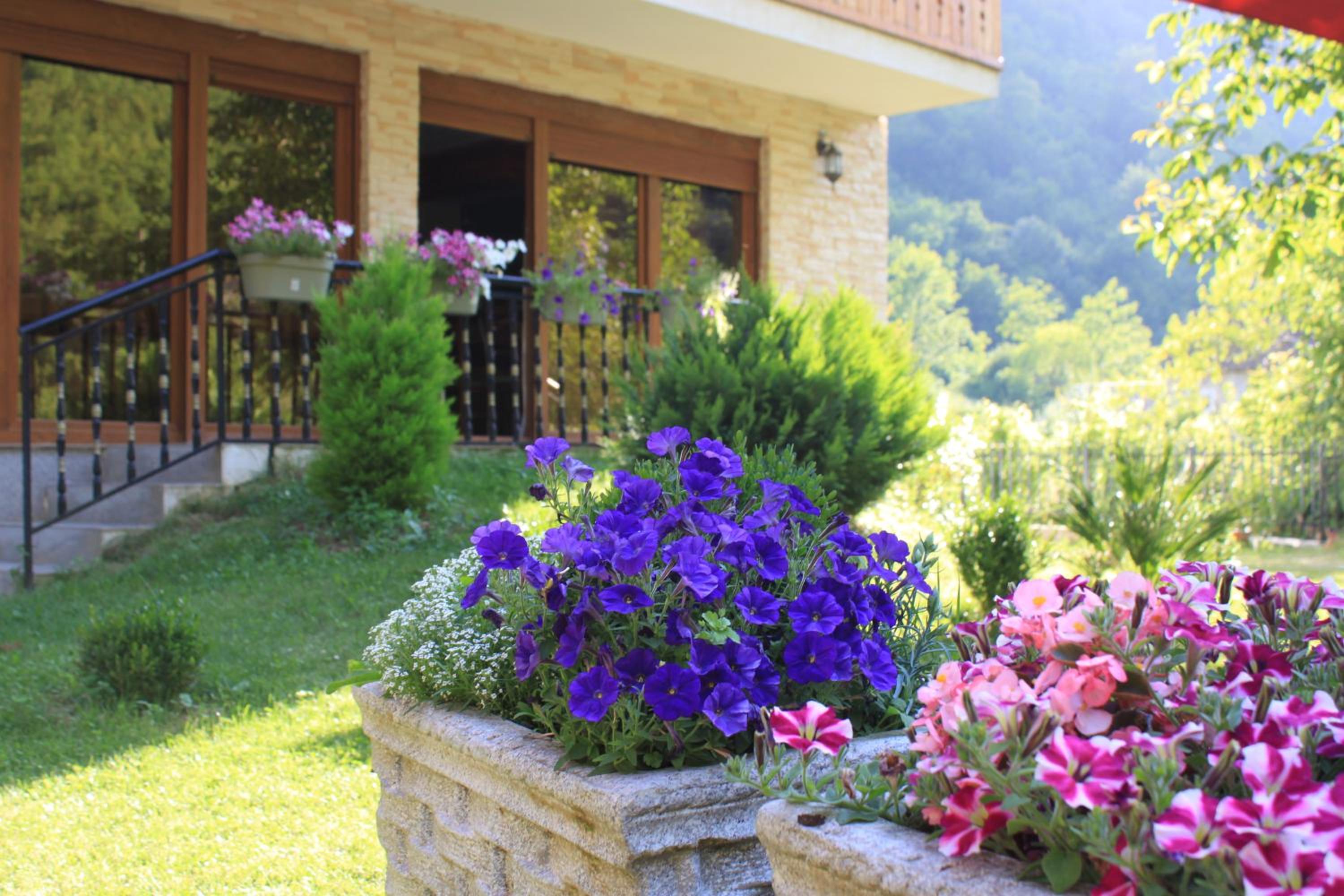Vila Alexander B&B