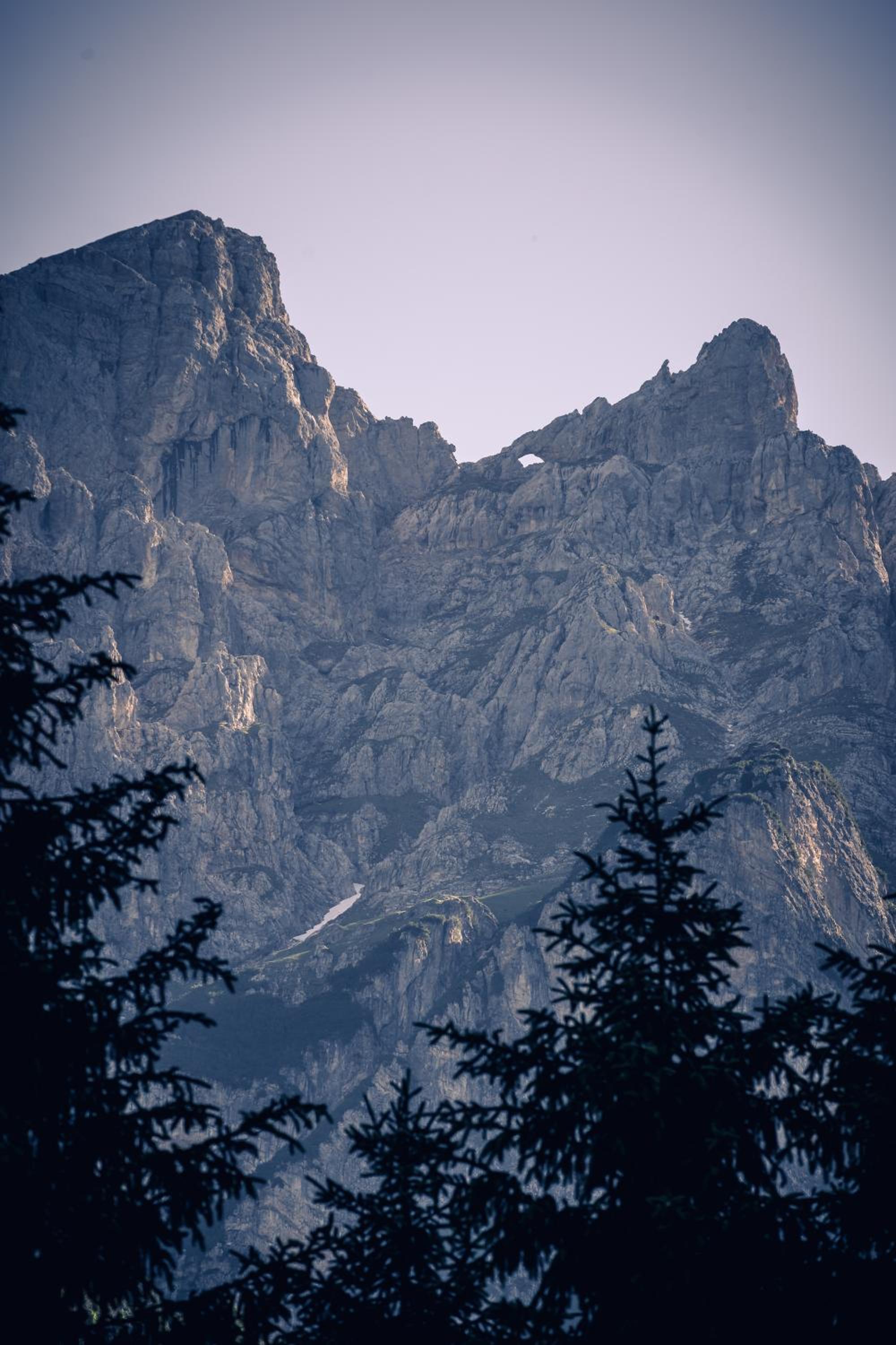Photo 48