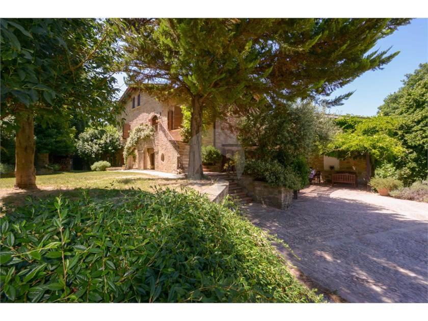 Agriturismo Ca' Andreana view 2