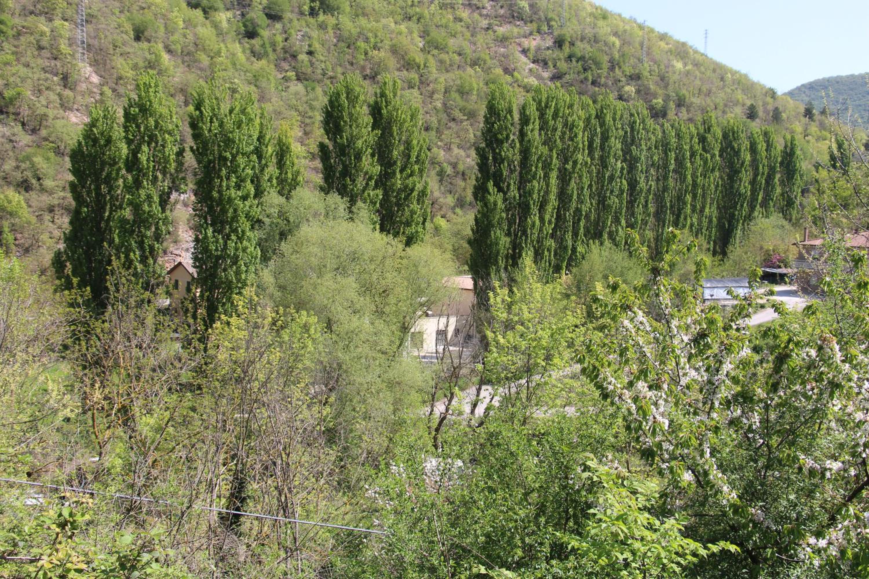 Sul sentiero di Francesco view 4