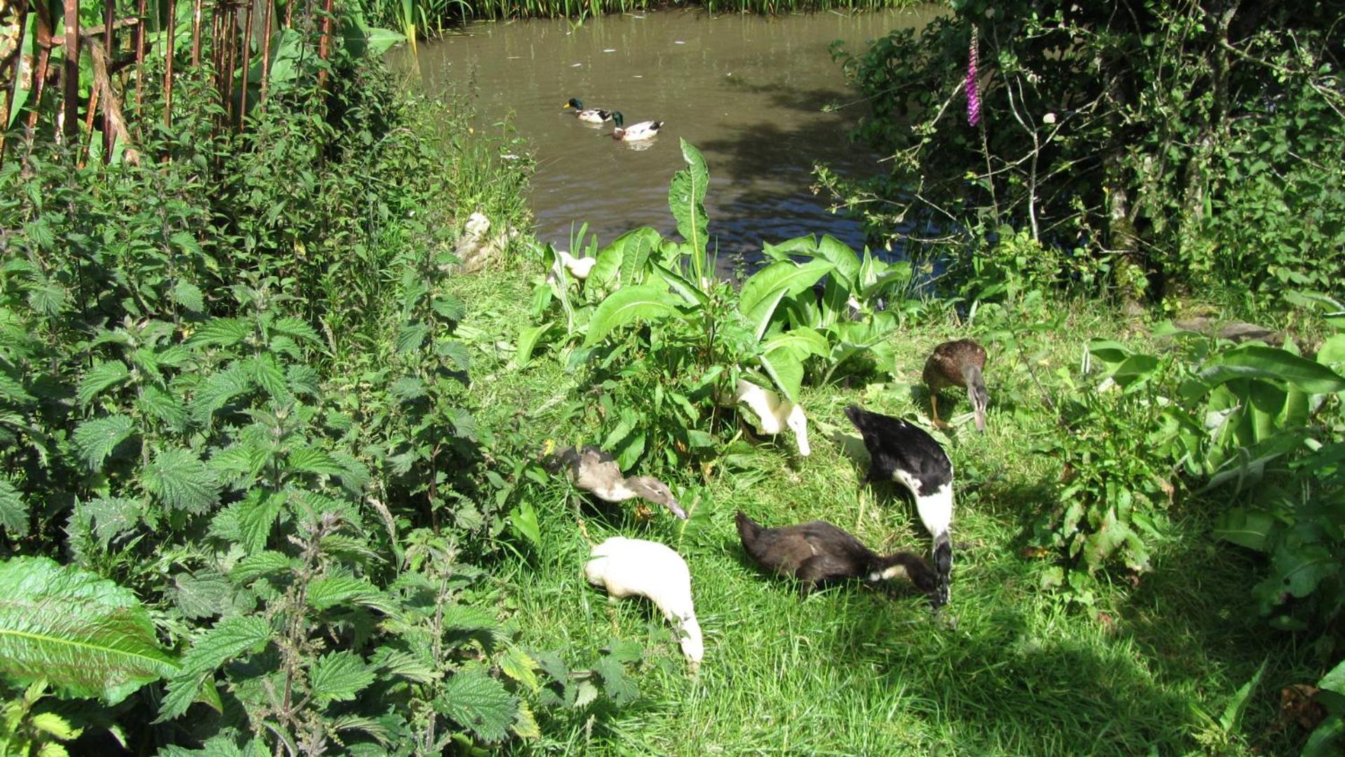 Photo 32
