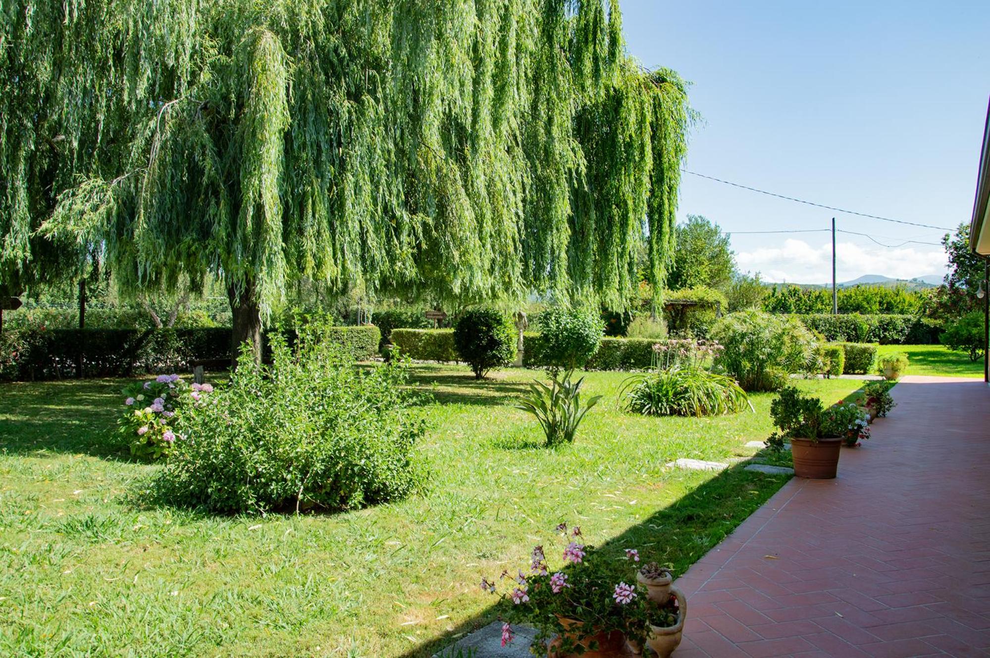 Agriturismo Terra Di Elea azienda agricola di Raimondo MIchela