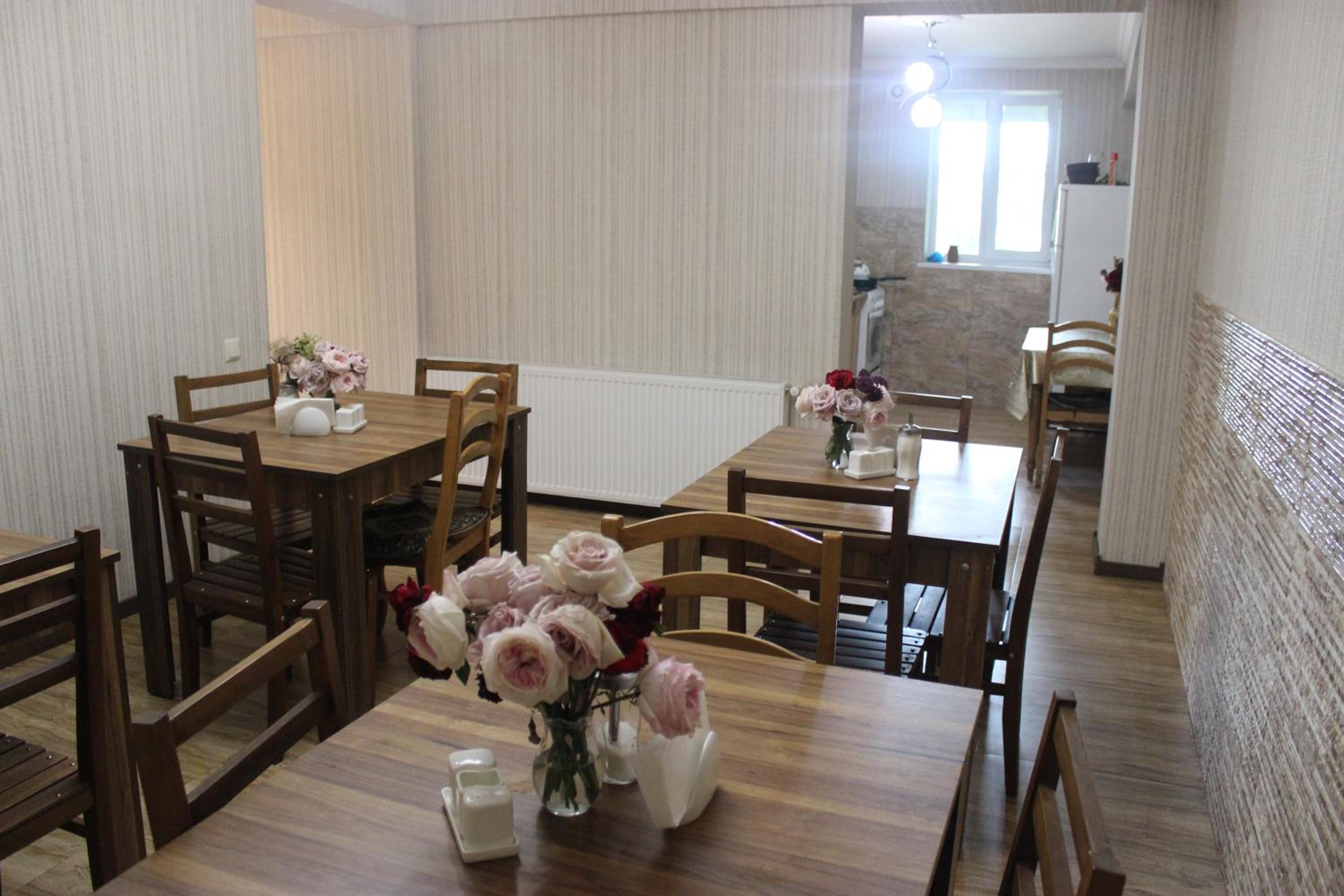 Hotel Elia Kazbegi view 5