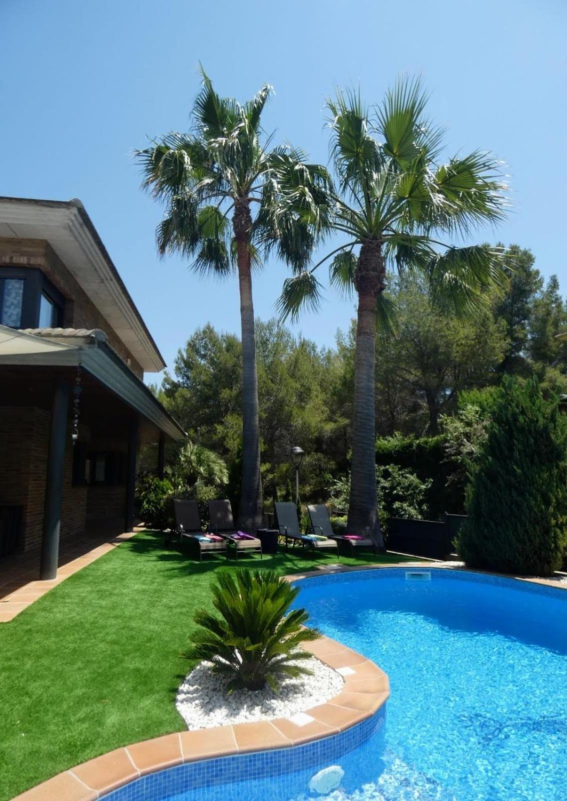 Washingtonia Villa near Sitges view 4