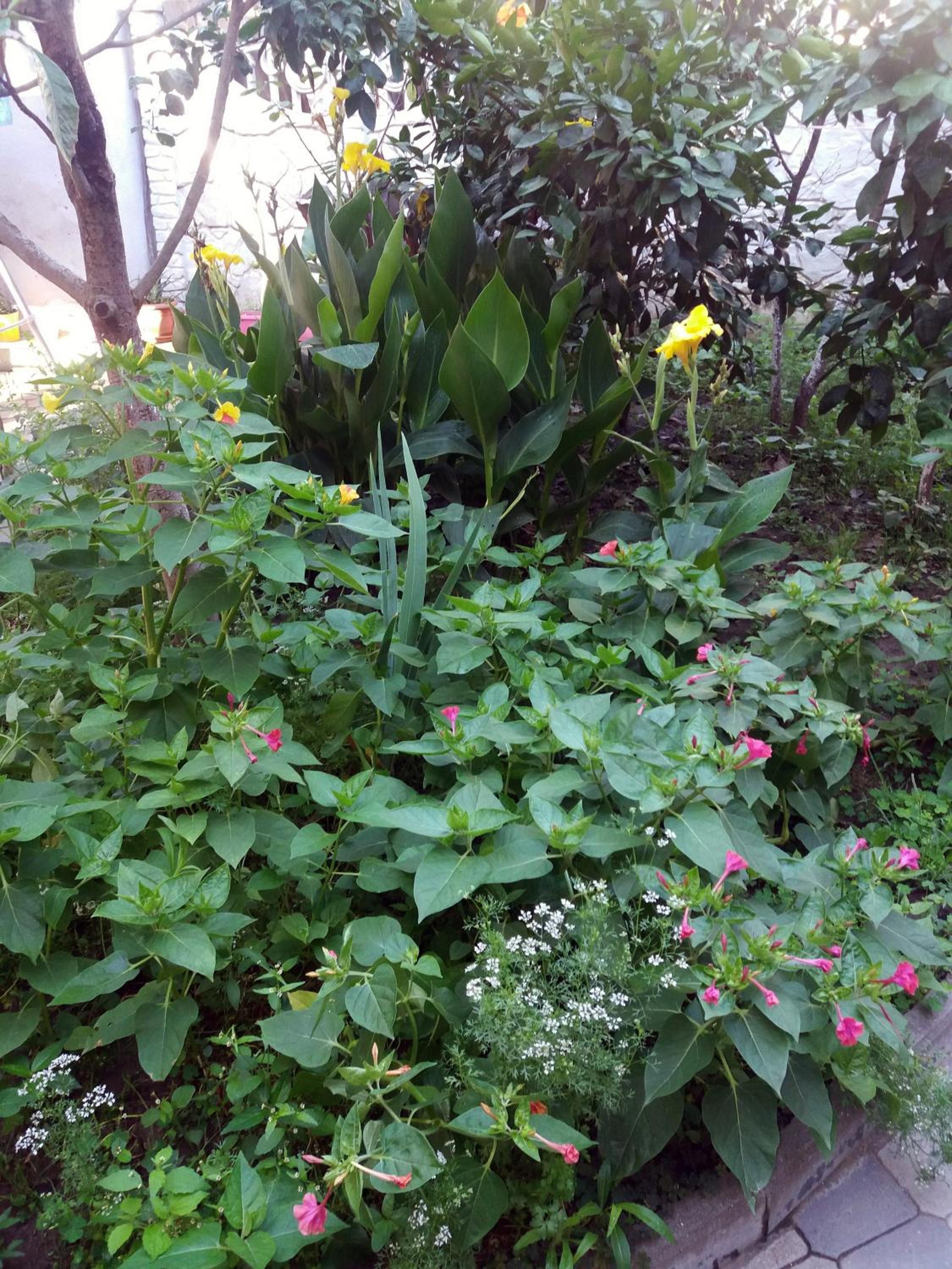 Photo 23