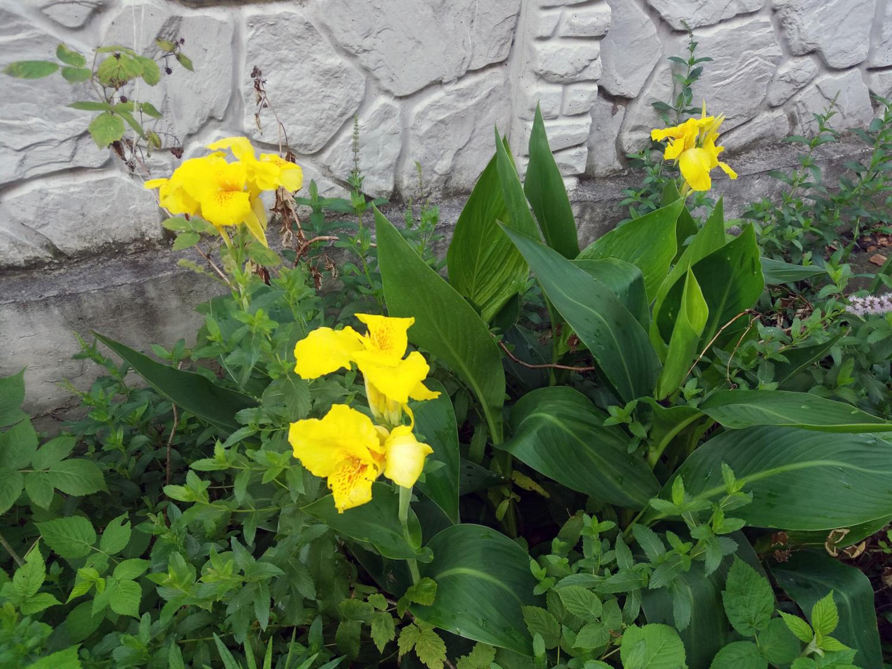 Photo 22
