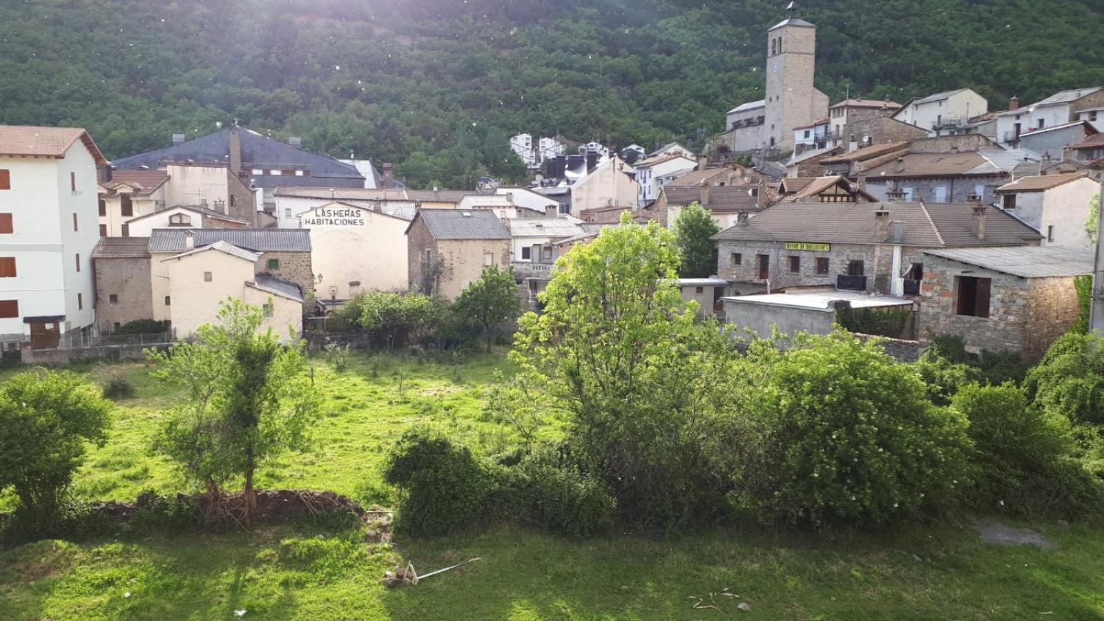 Photo 11