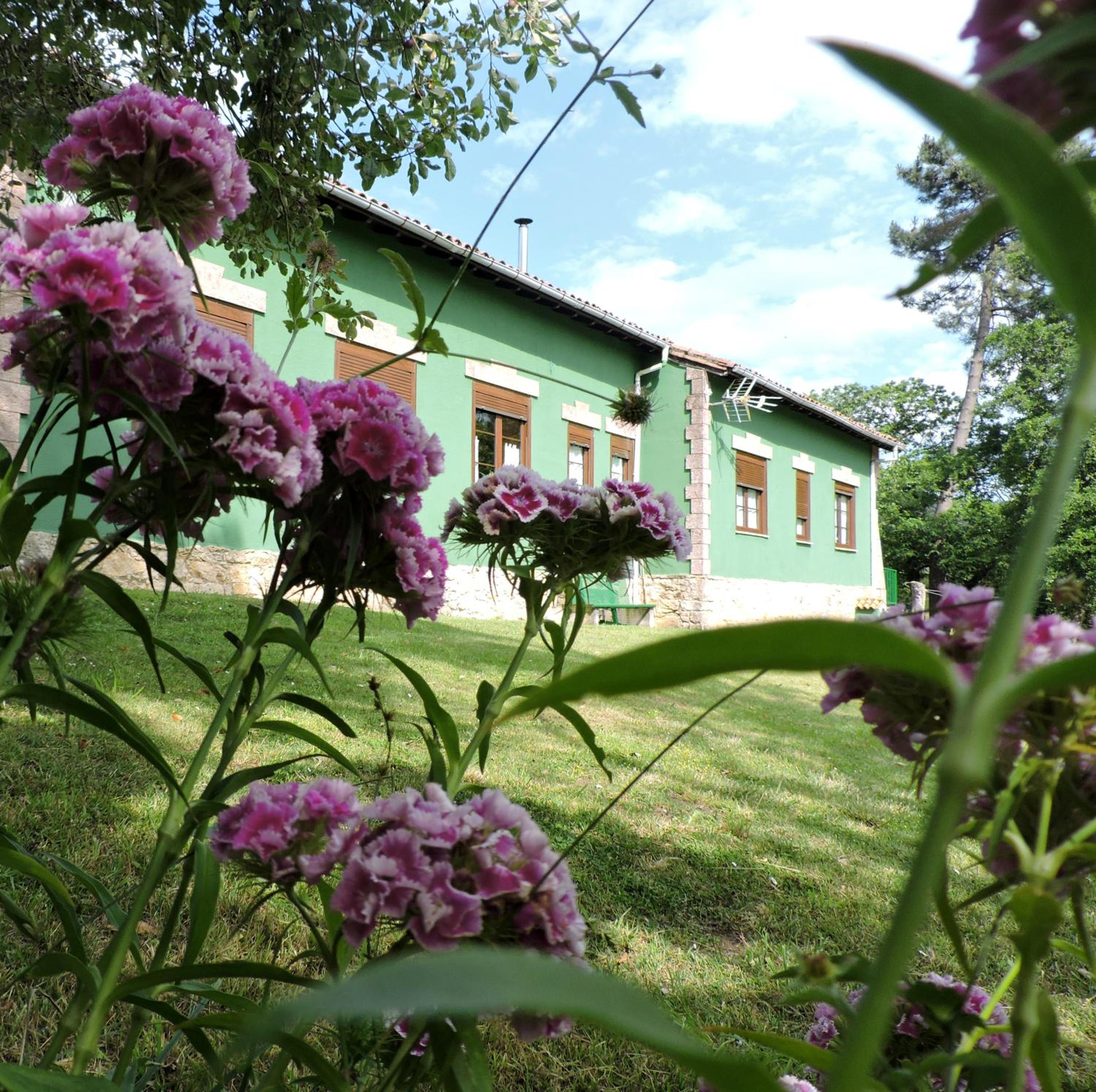 La Escuela de Premio view 3