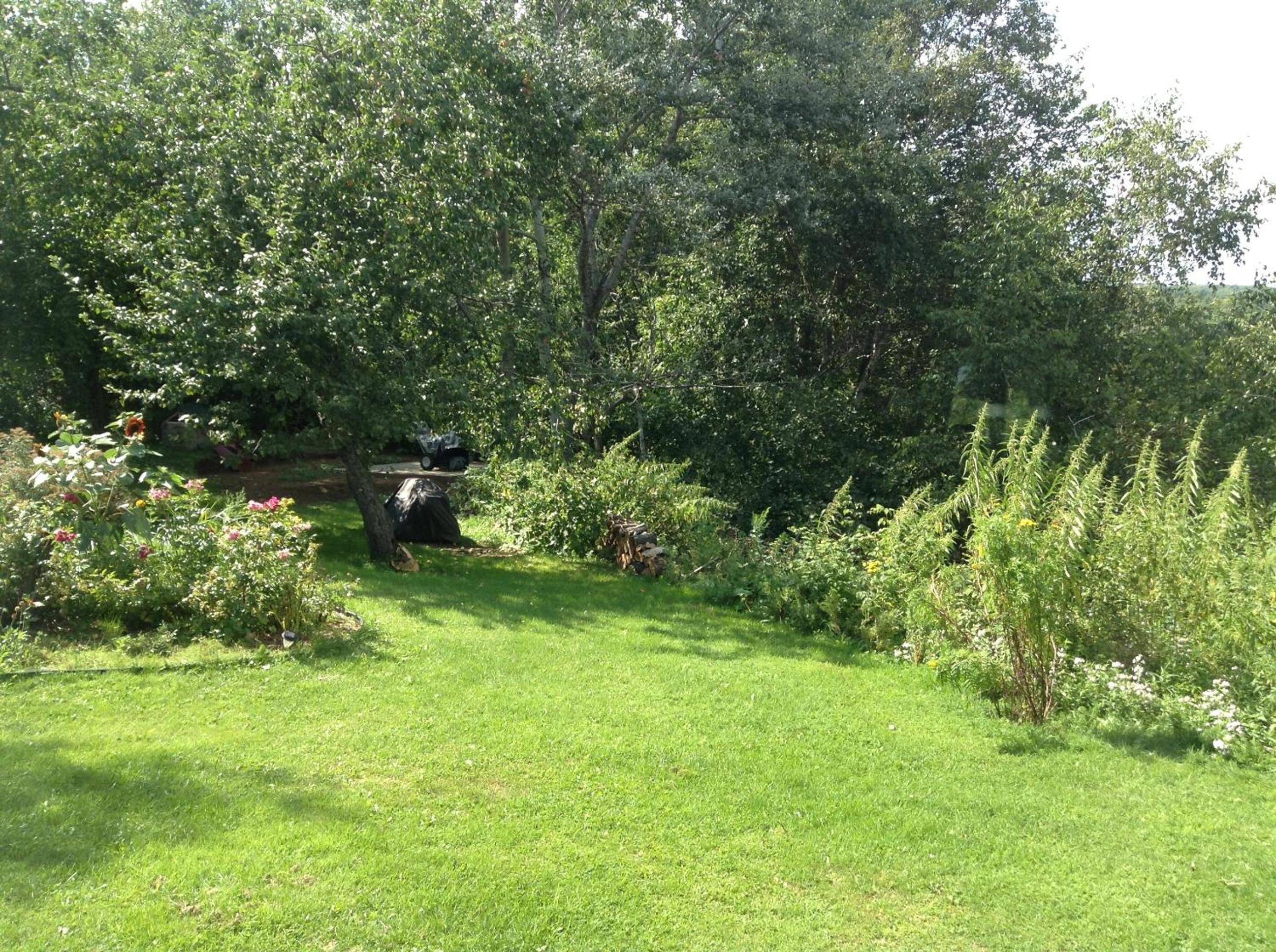 Photo 11