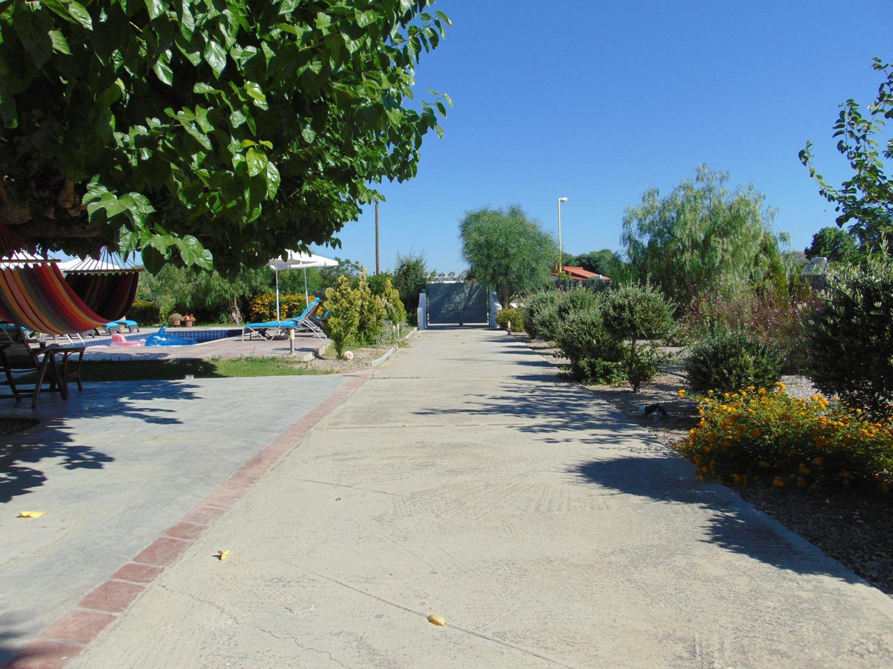 Photo 45