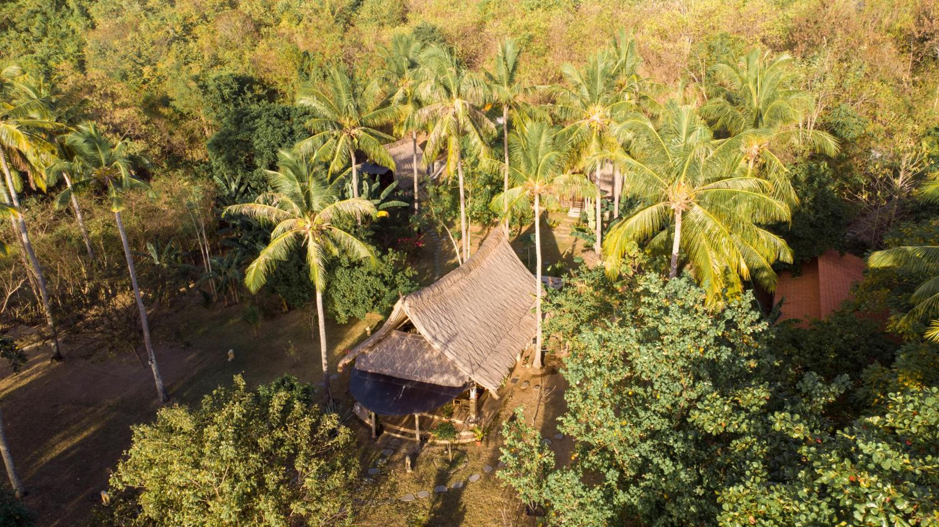 The Papalagi Resort view 2