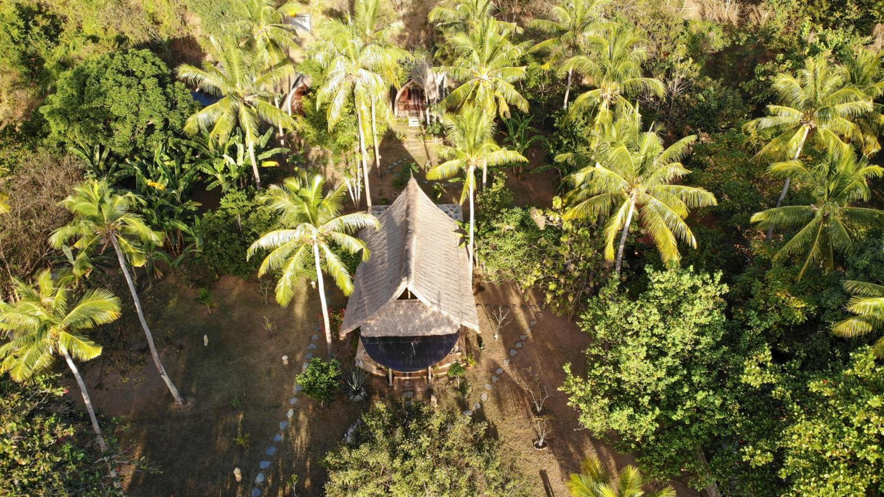 The Papalagi Resort view 3