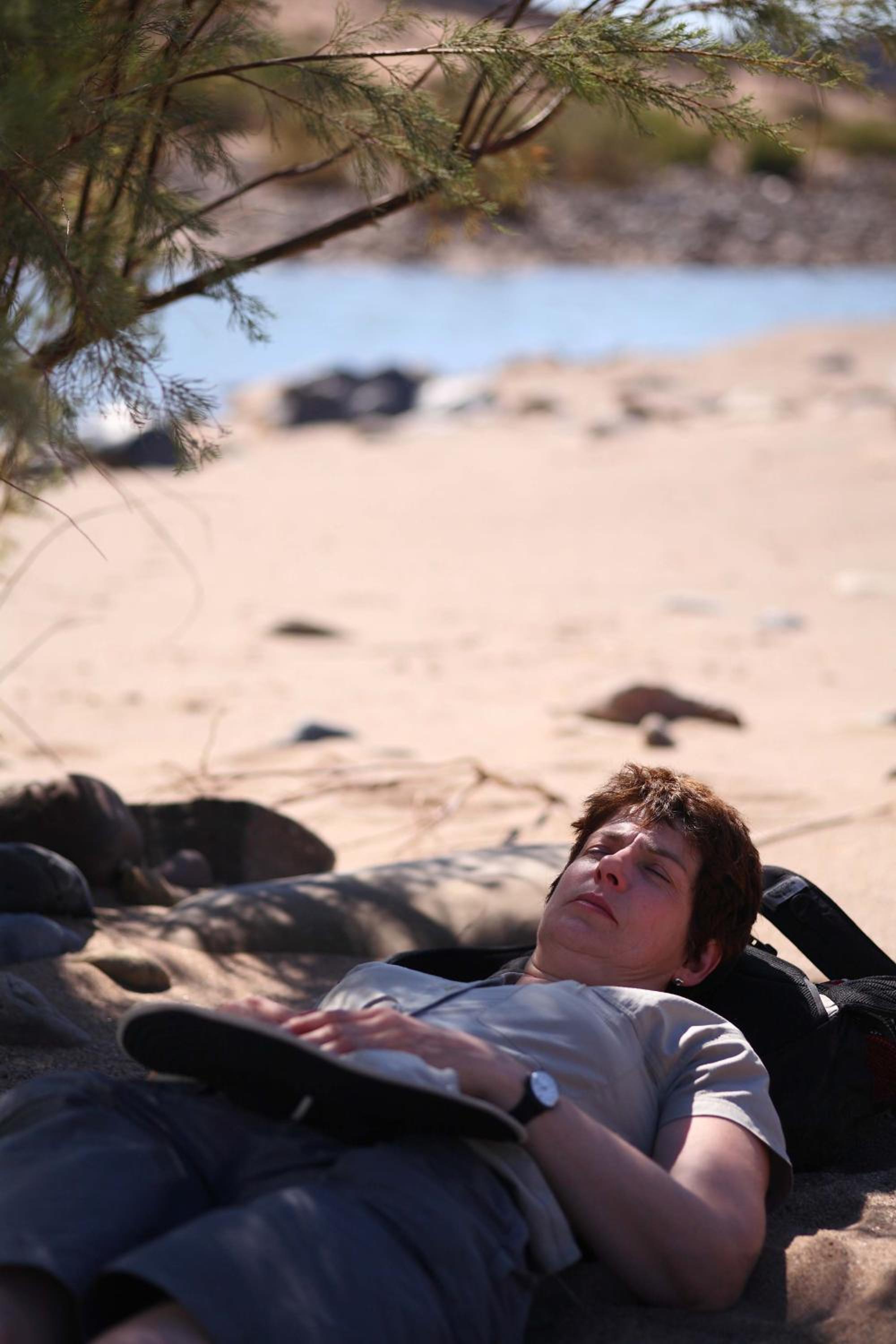 Photo 42