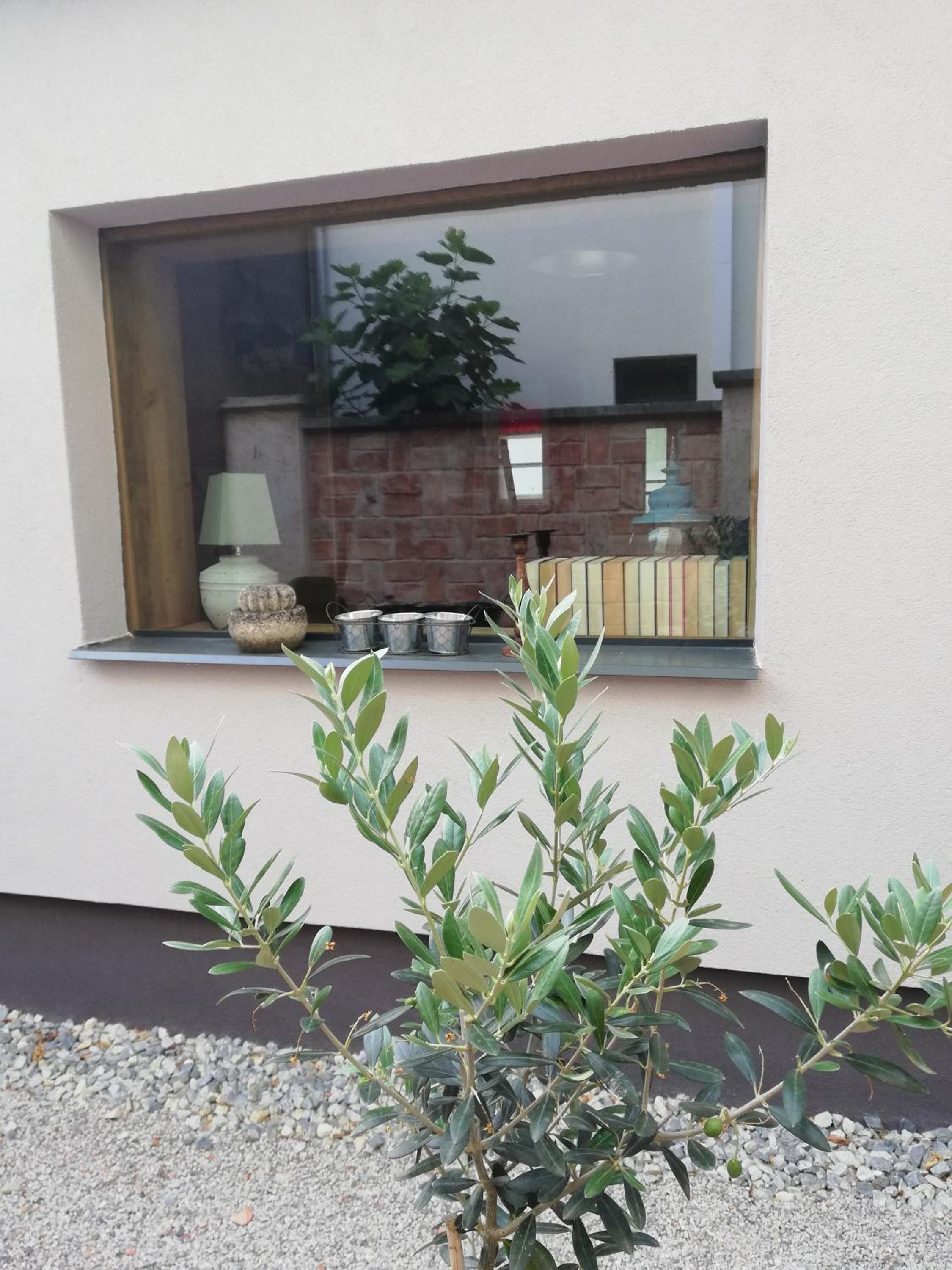 Das Nest