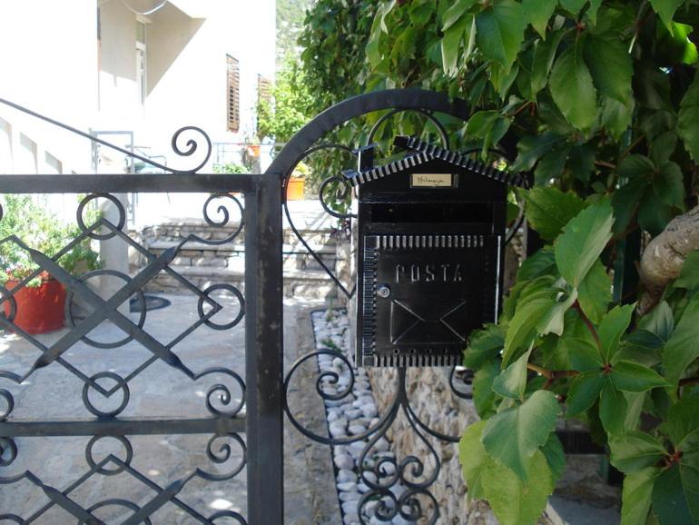 Photo 46