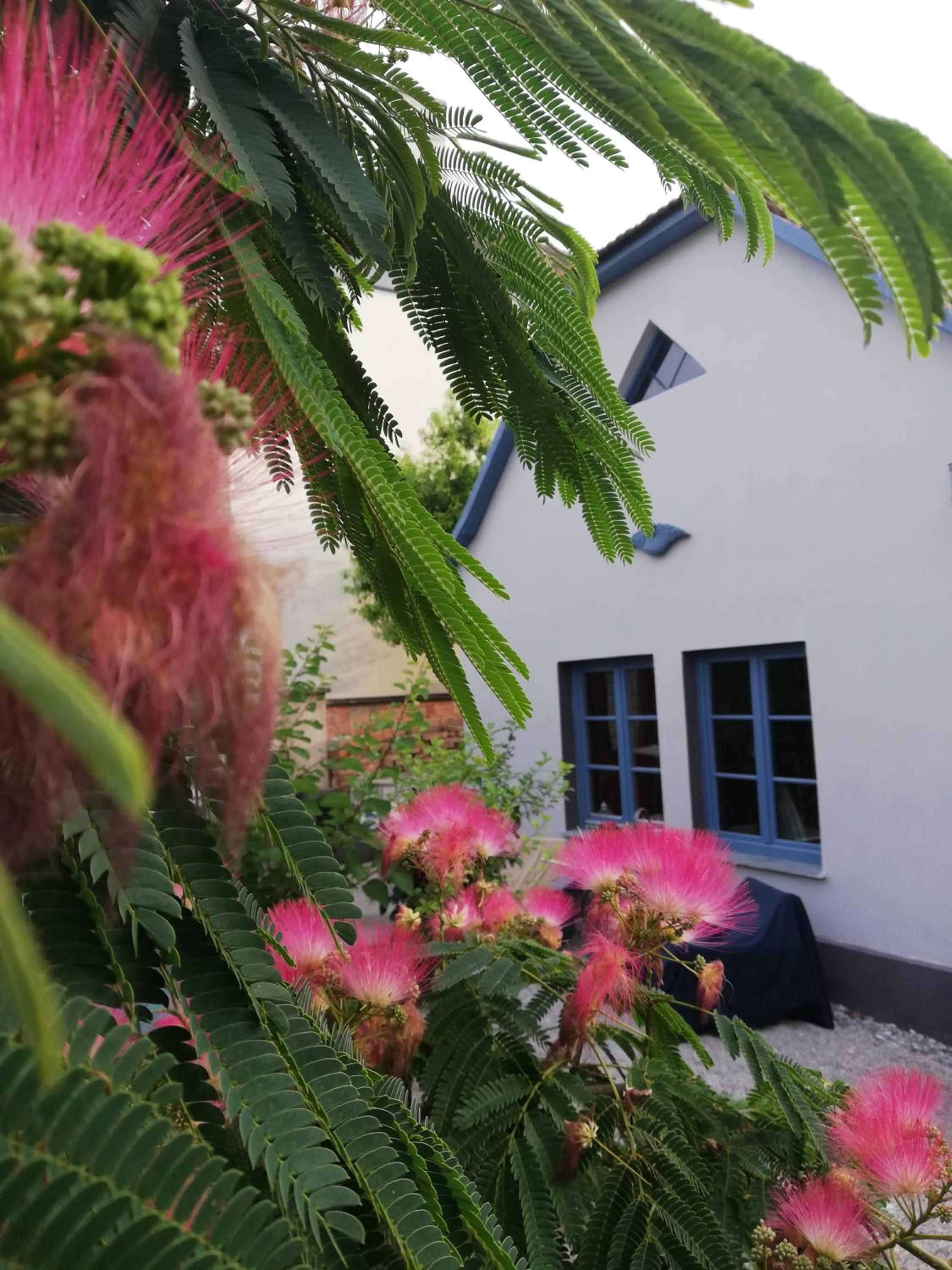 Das Nest
