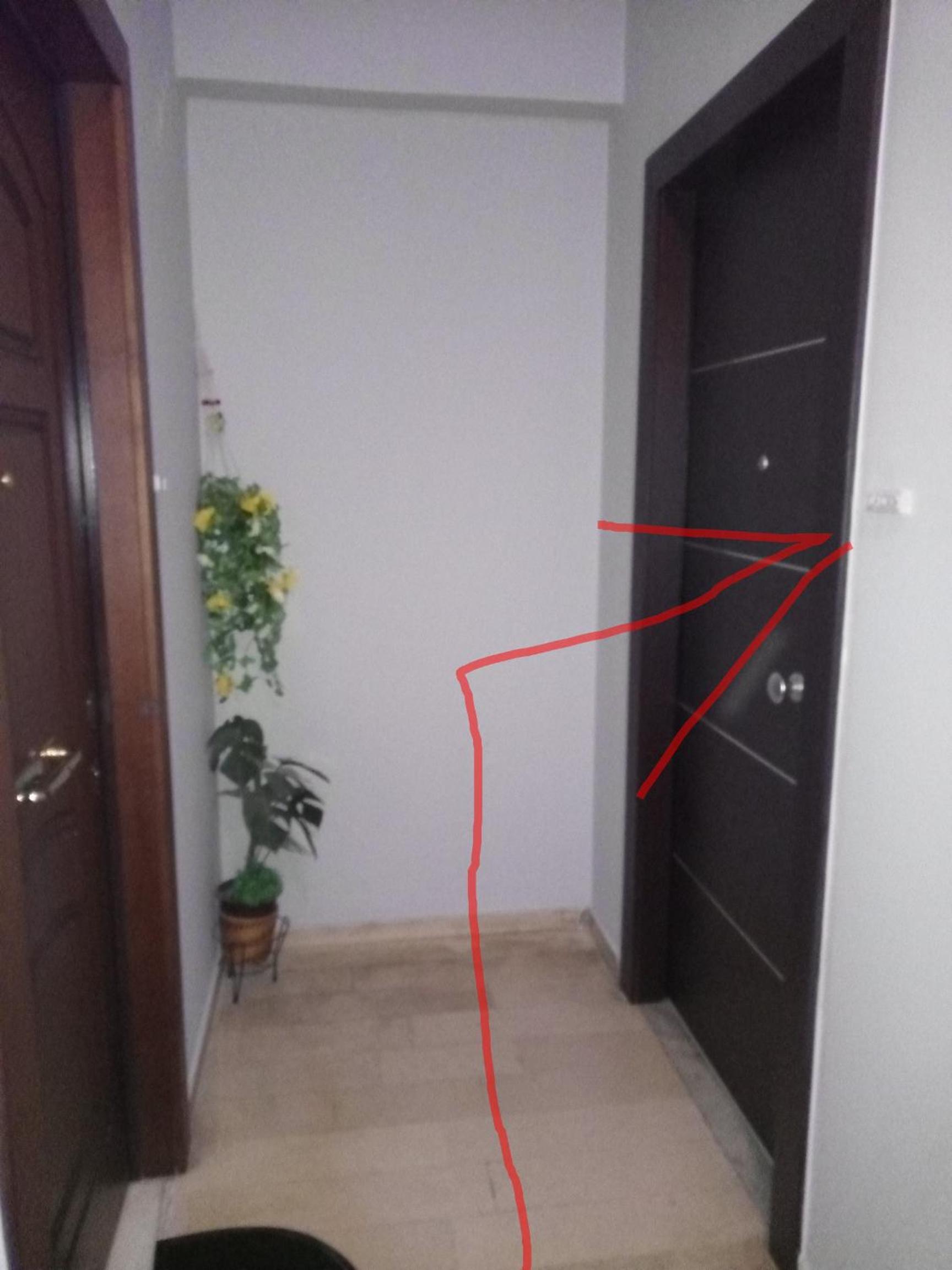 Cozy studio near Victoria metro station