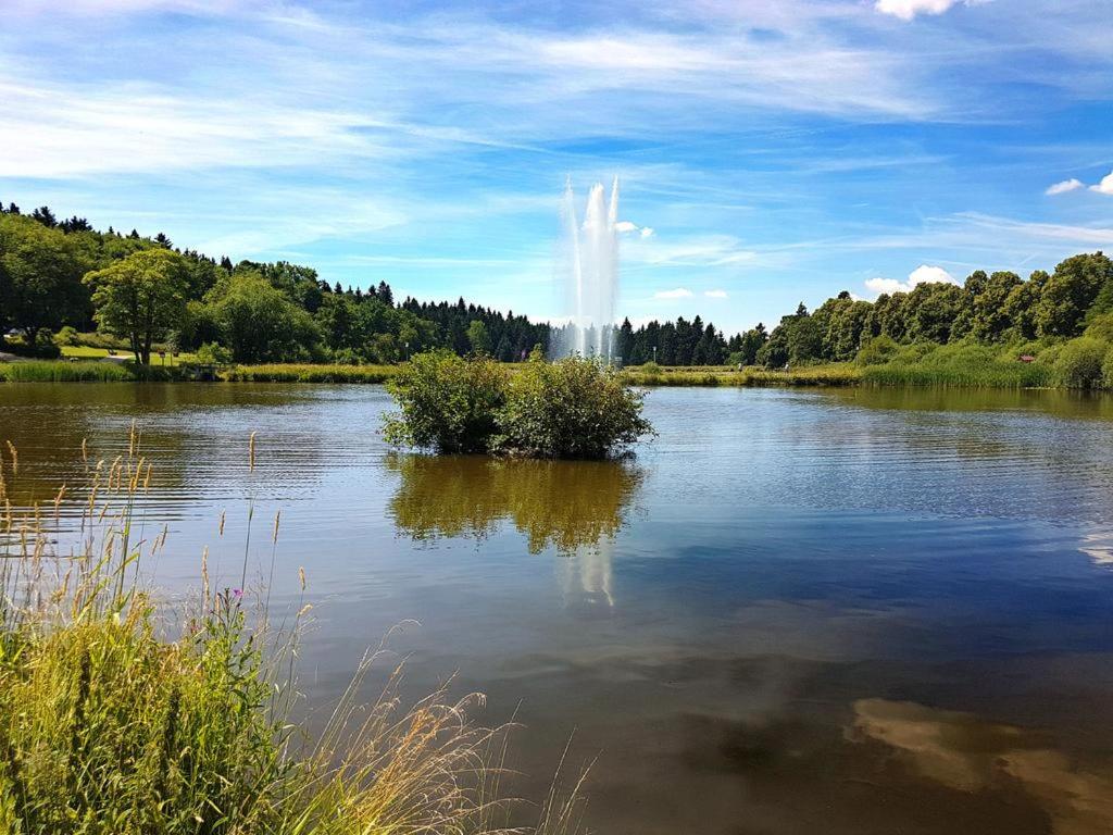 Ferienappartement Balbiani Hahnenklee-Harz