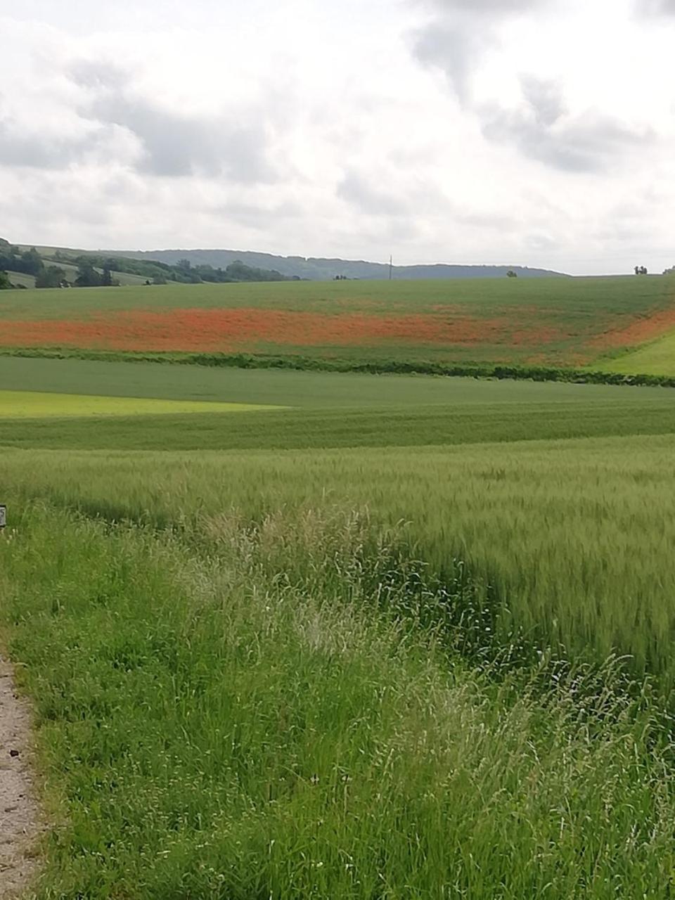 Zantnhof