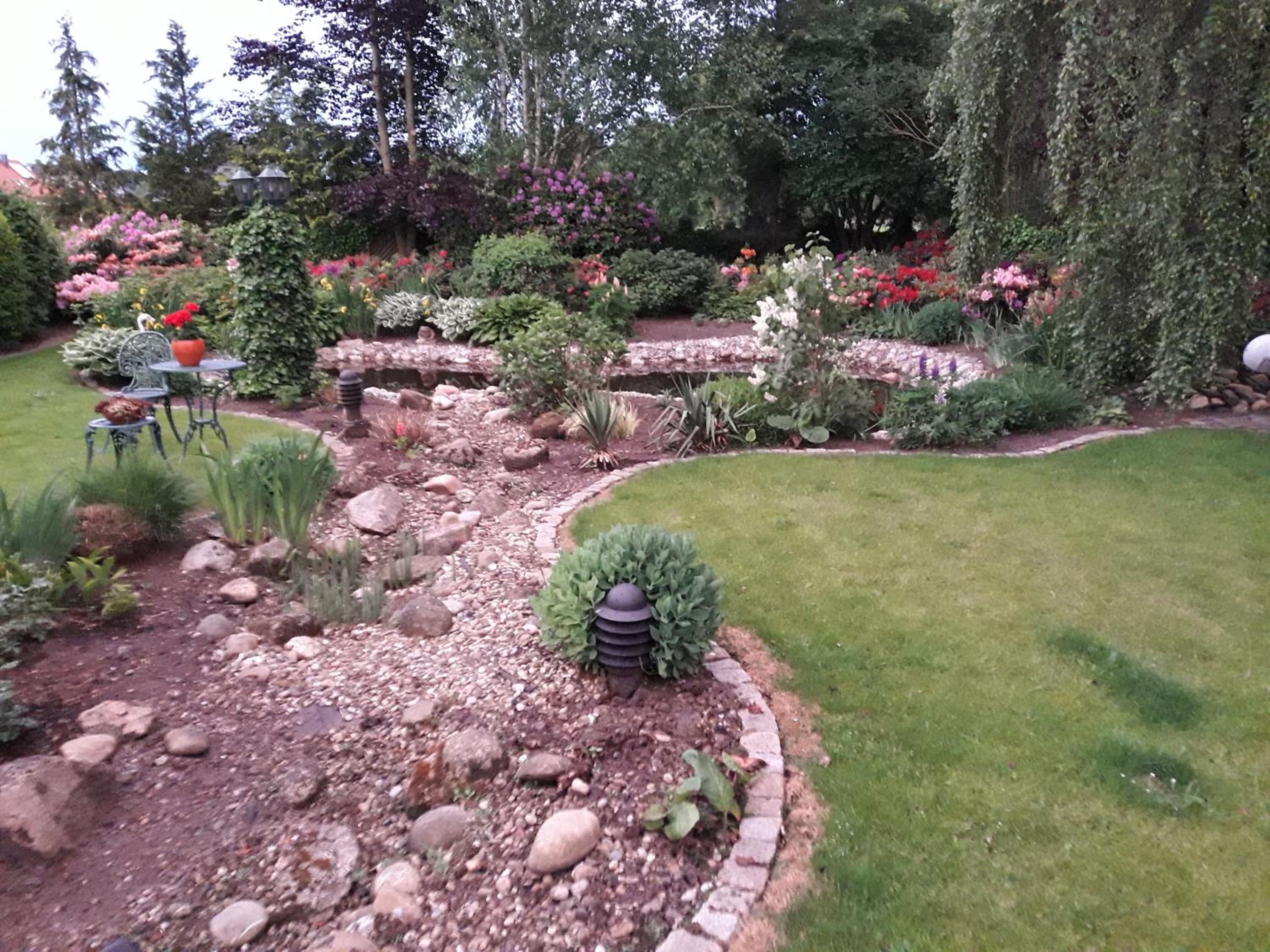 Photo 11