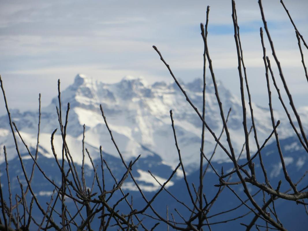 Maison familiale à Montreux avec vue sur le lac
