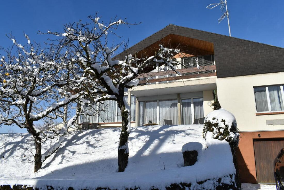 Maison familiale à Montreux avec vue sur le lac