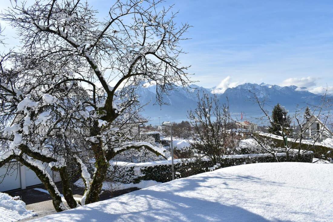 Maison familiale à Montreux avec vue sur le lac
