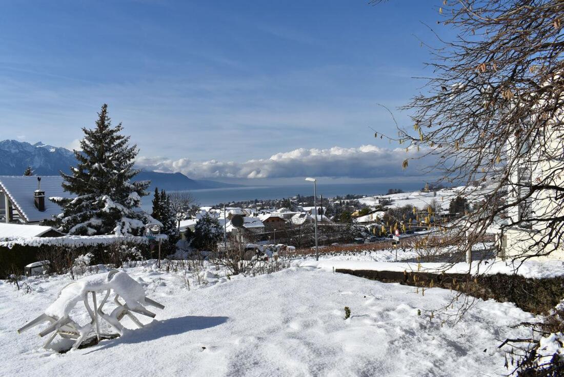 Maison familiale à Montreux avec vue sur le lac