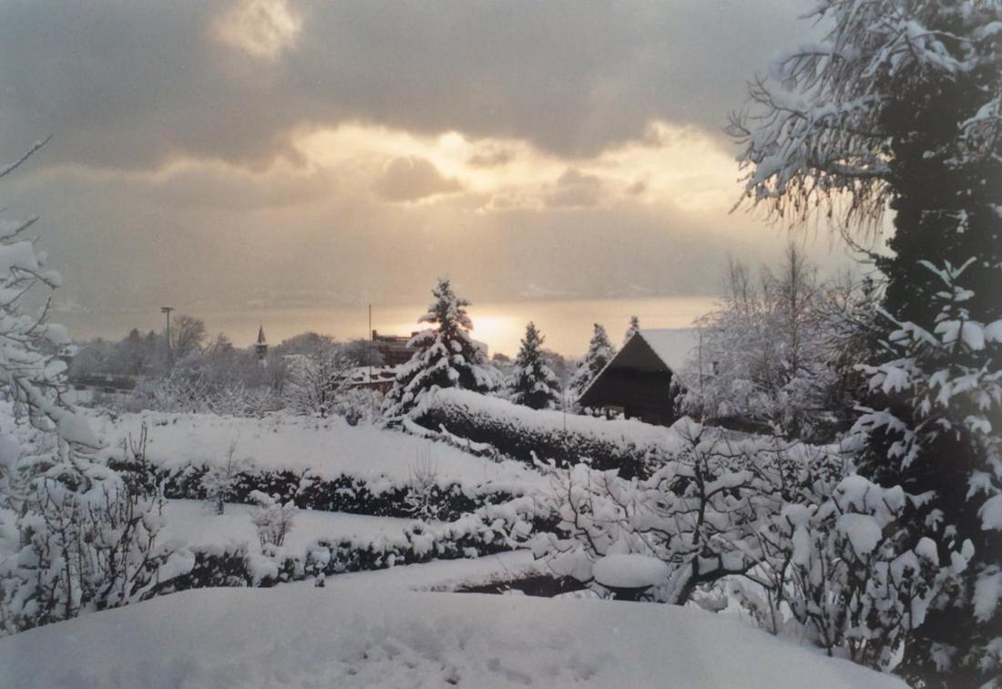 Maison familiale à Montreux avec vue sur le lac