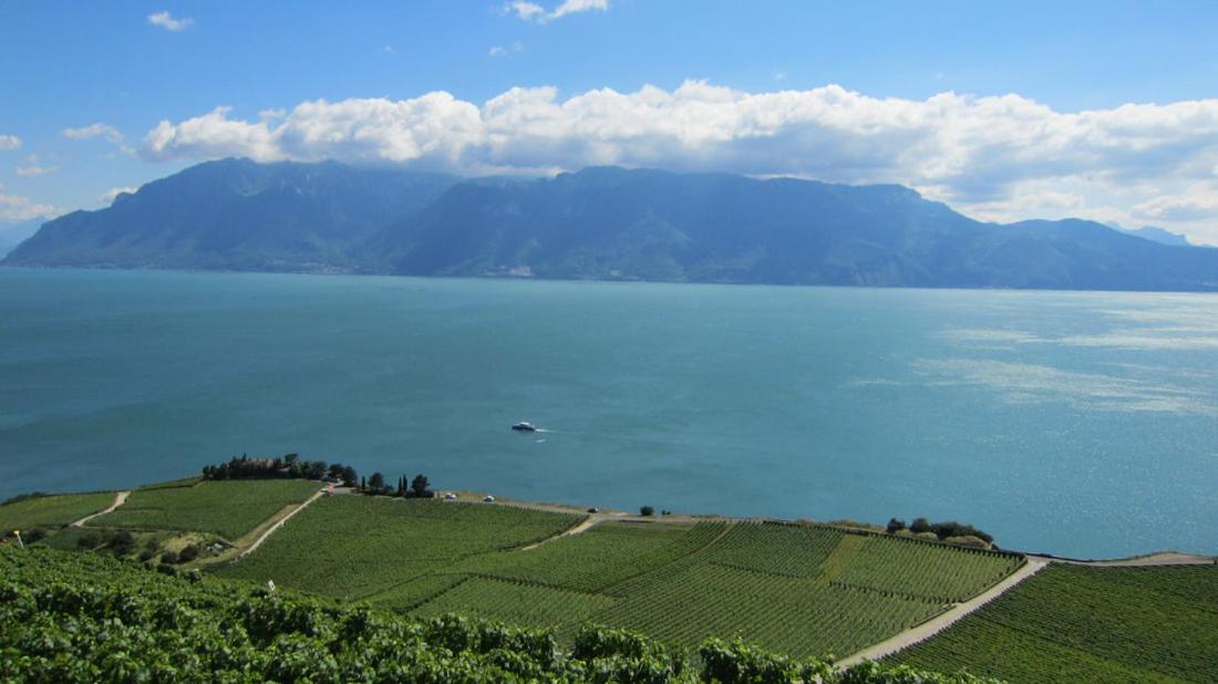Maison familiale à Montreux avec vue sur le lac