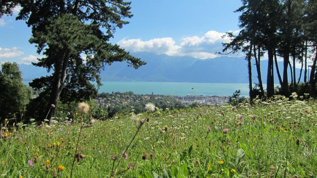 Maison familiale à Montreux avec vue sur le lac