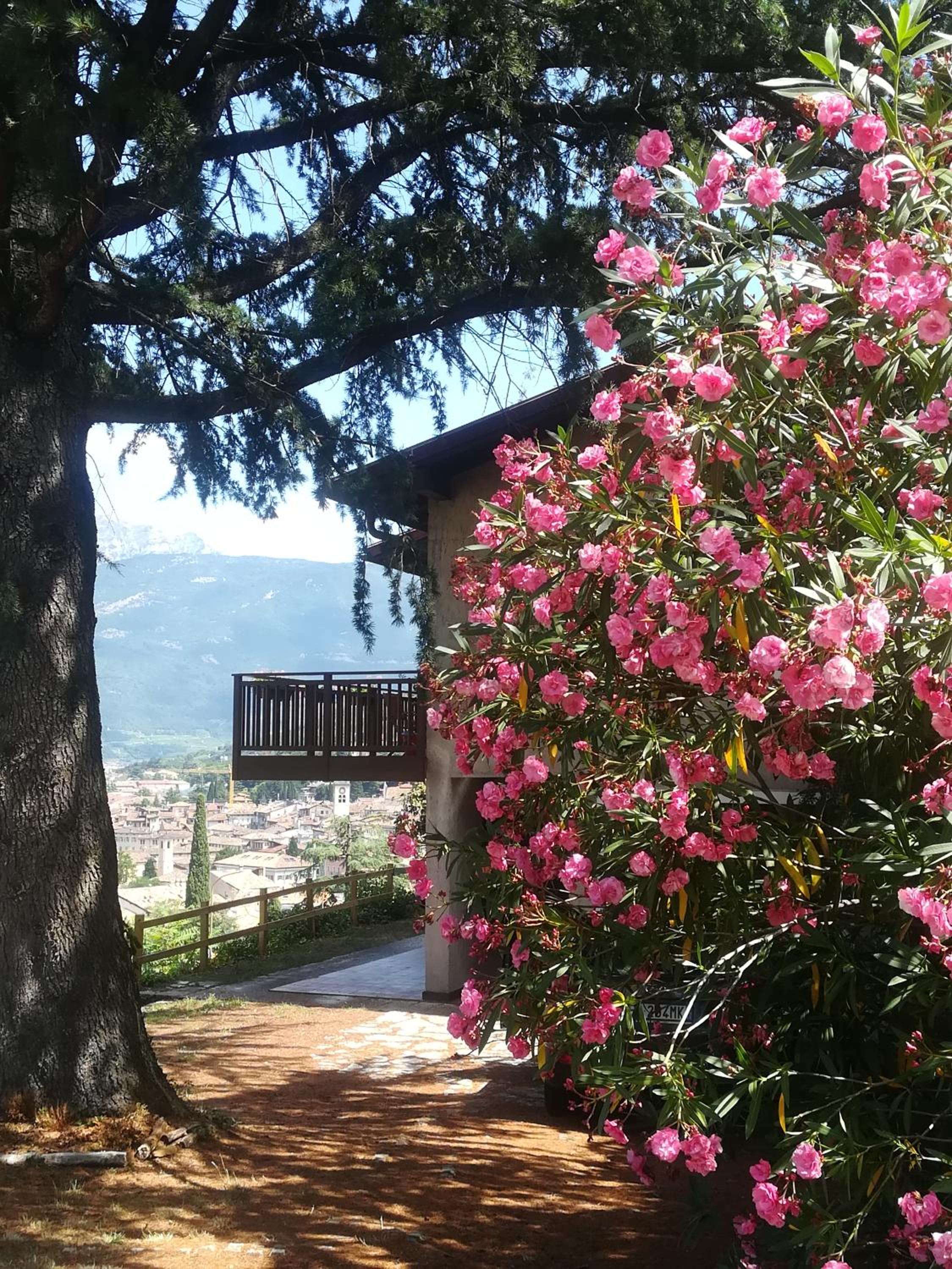 DOLCE DORMIRE view 2