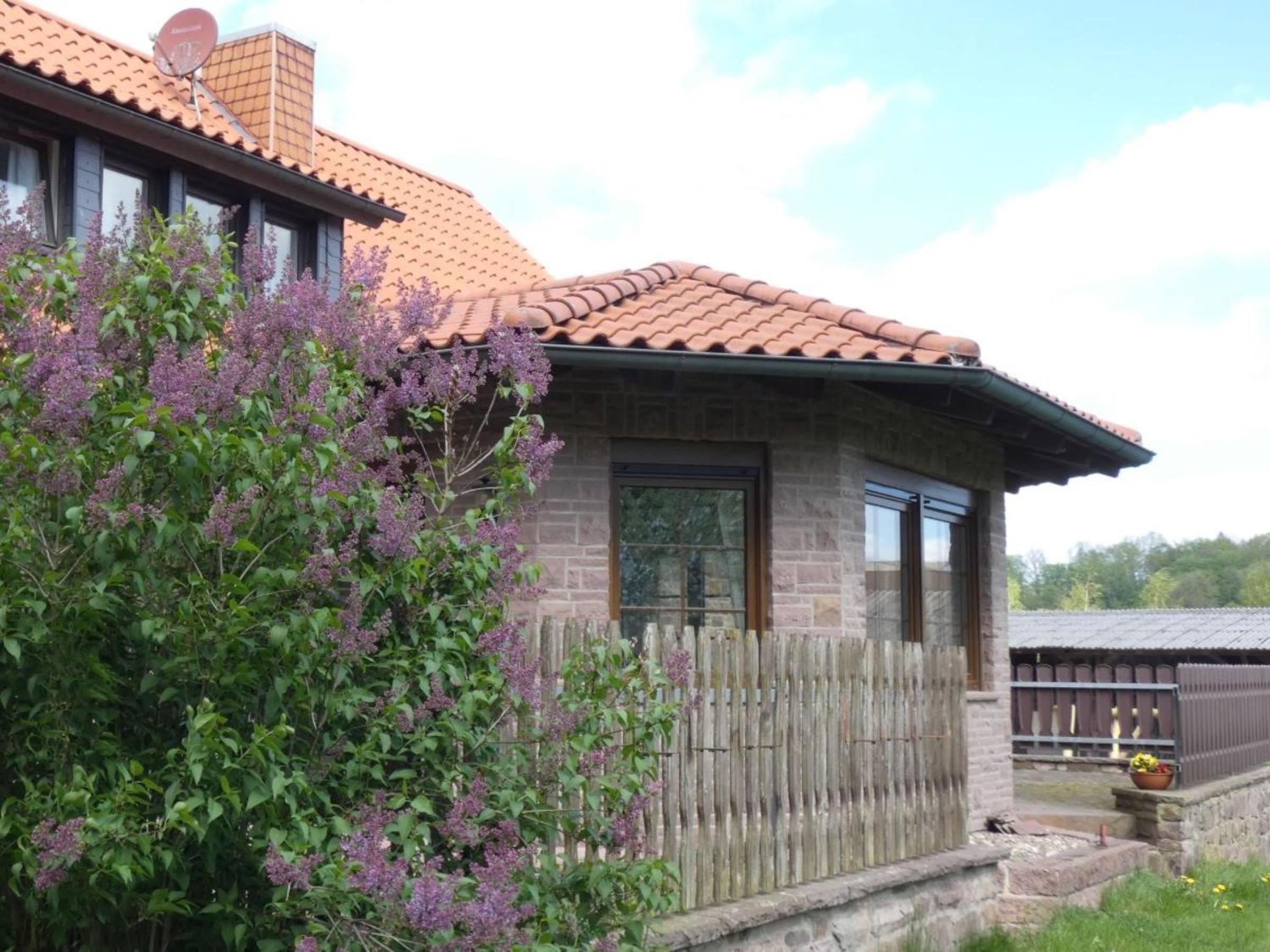 Photo 9