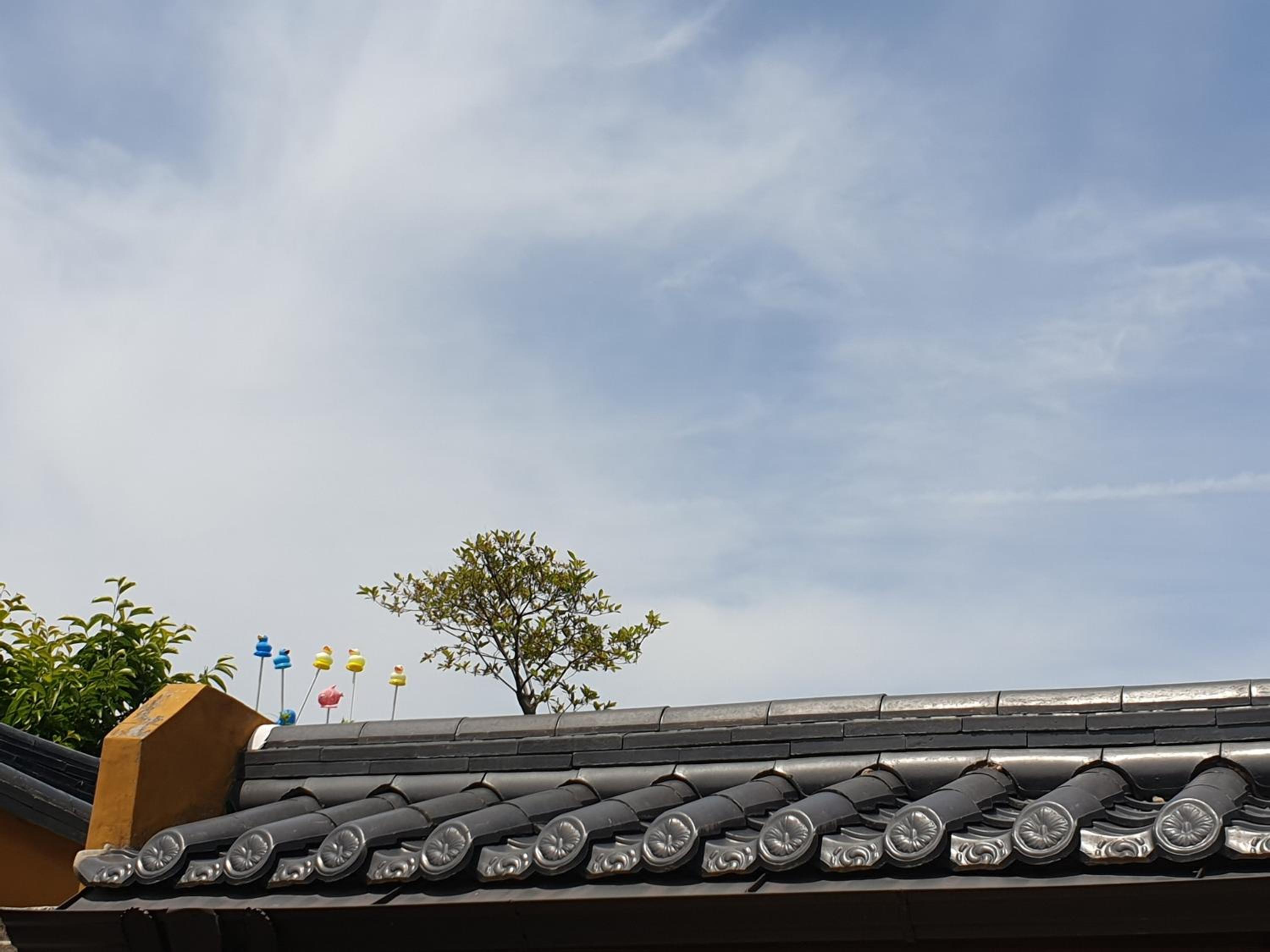 Hanok Dream