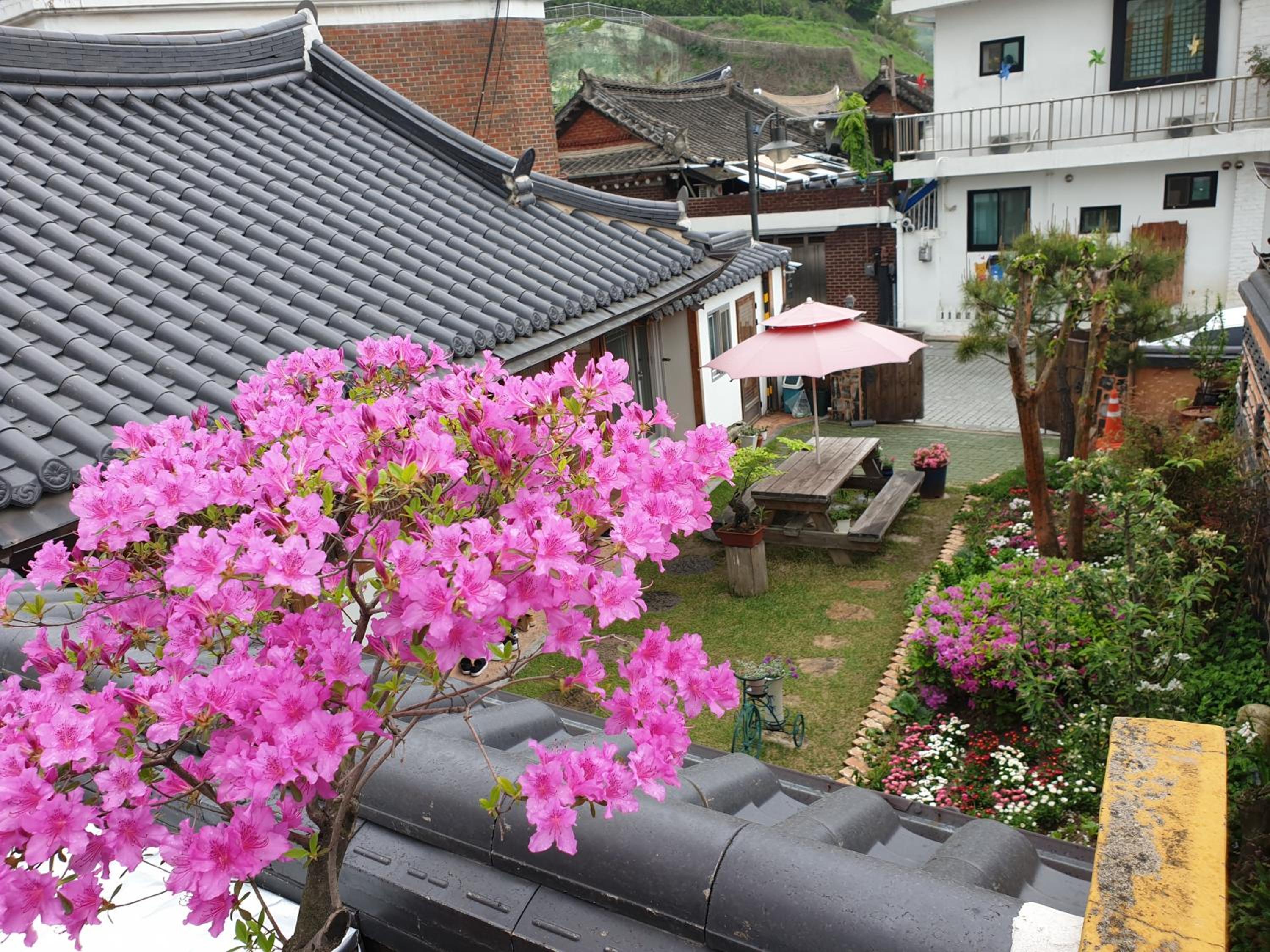 Hanok Dream