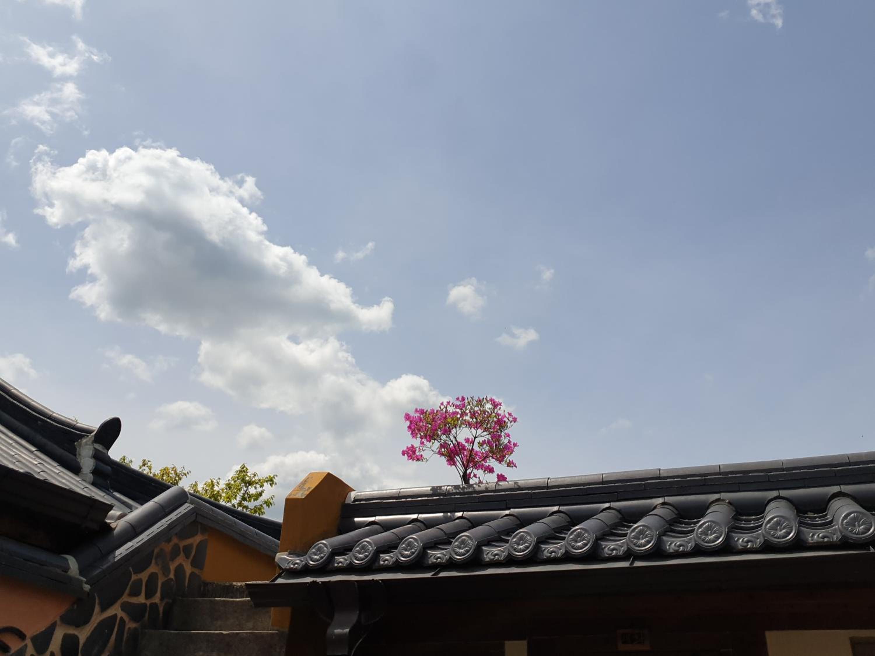 Hanok Dream