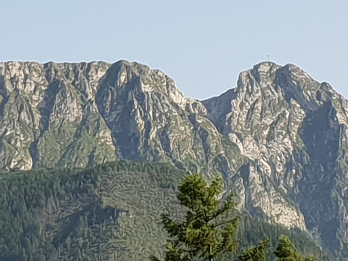 Willa za Strugiem view 3
