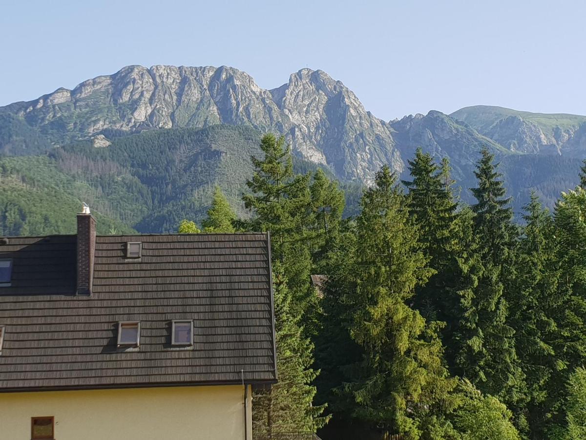 Willa za Strugiem view 2