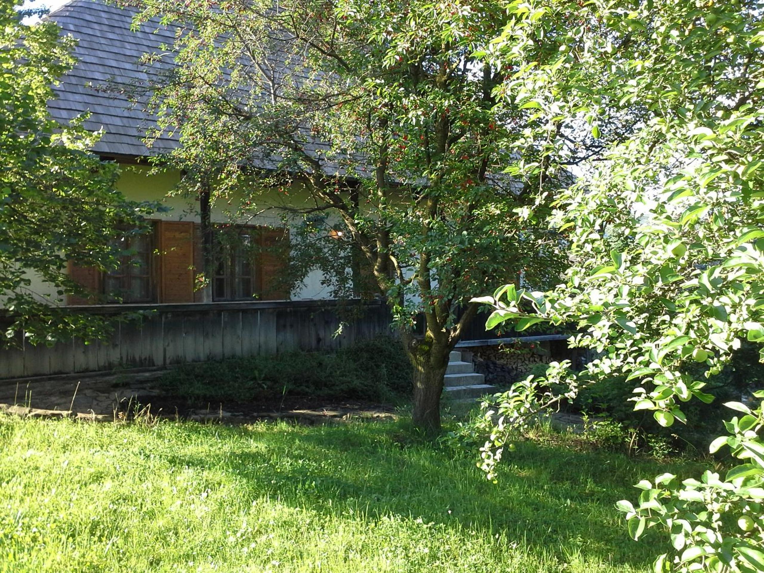 Photo 6