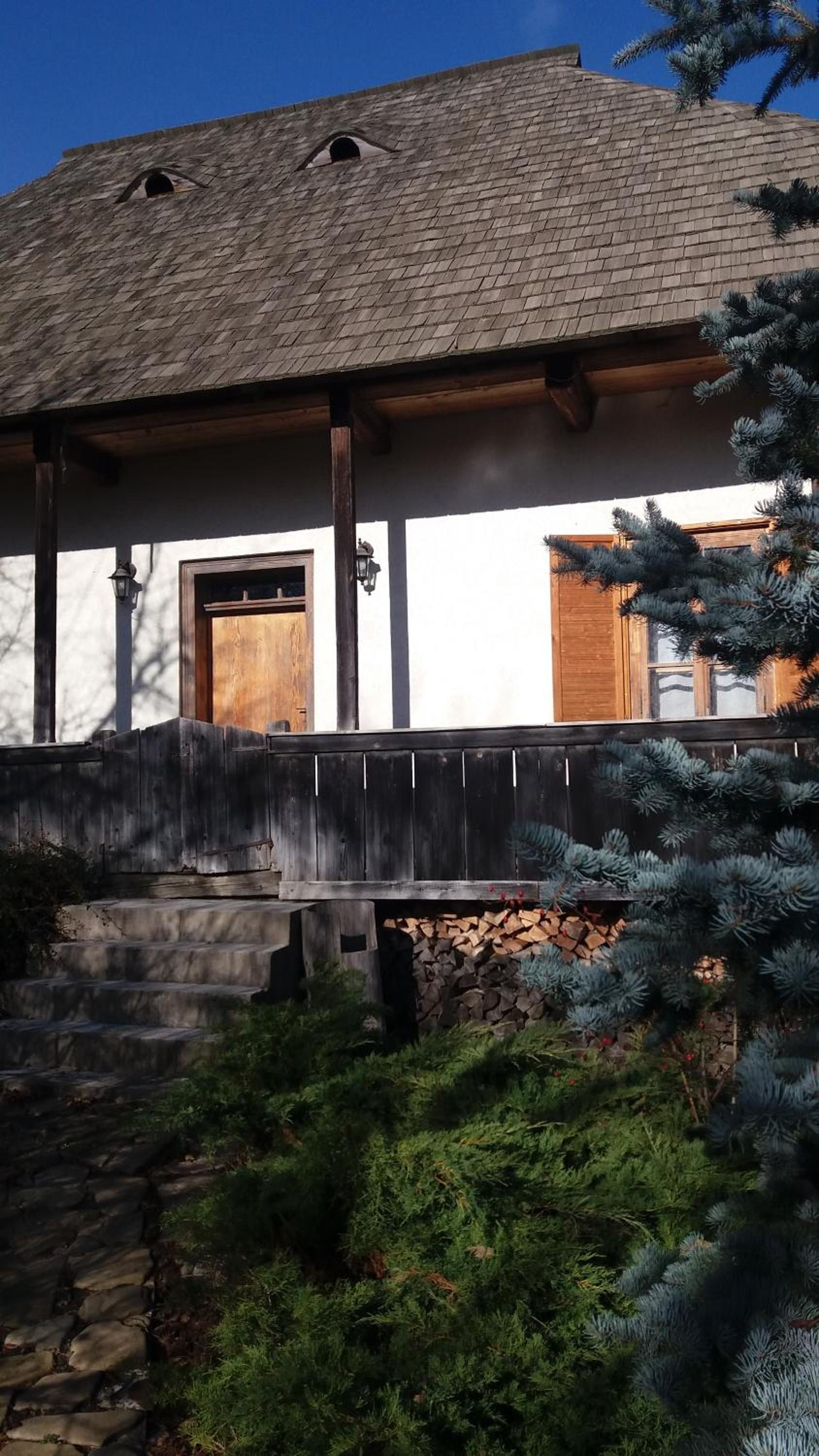 Casa Pintea - Bucovina view 4