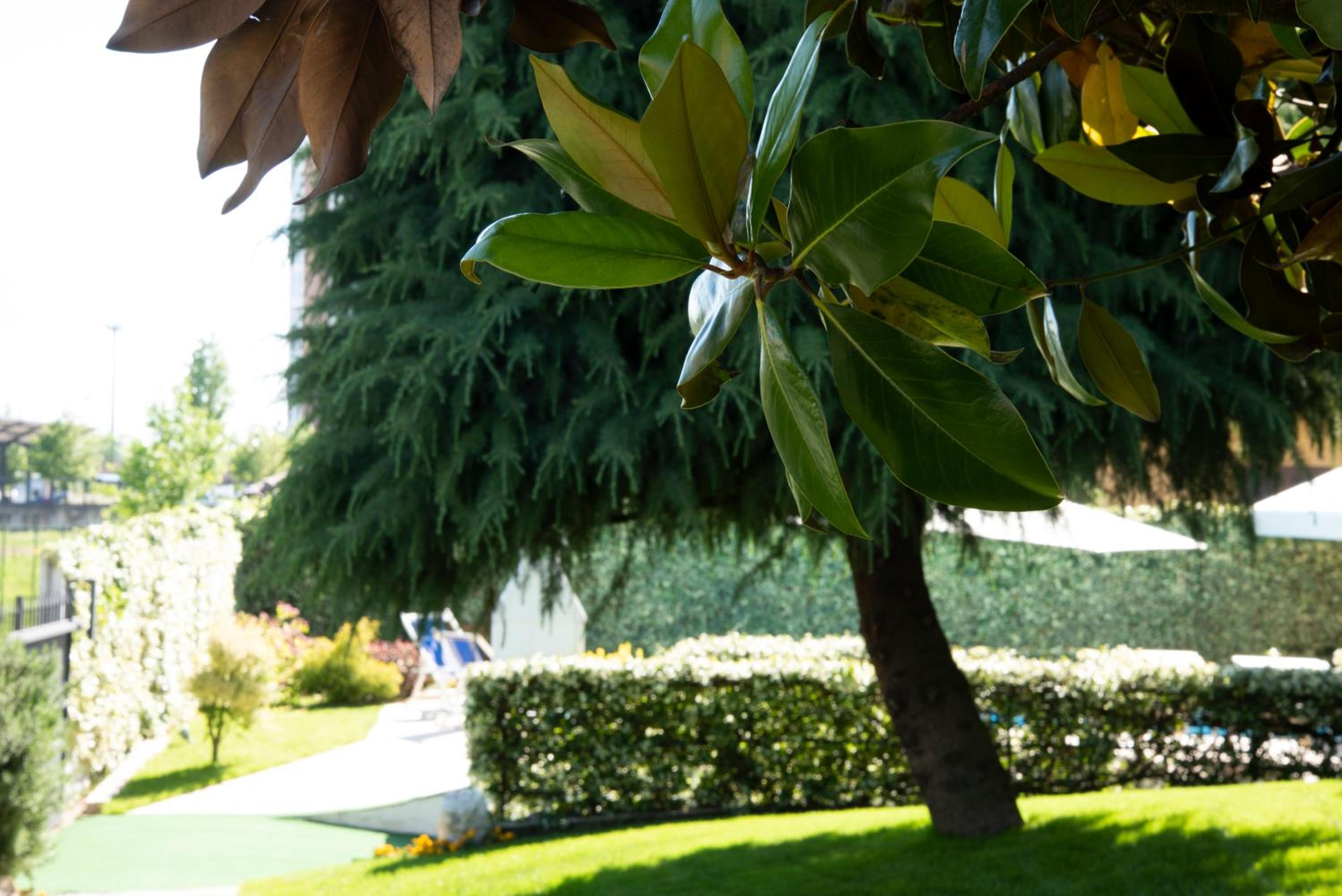 Cascina36 B&B view 4