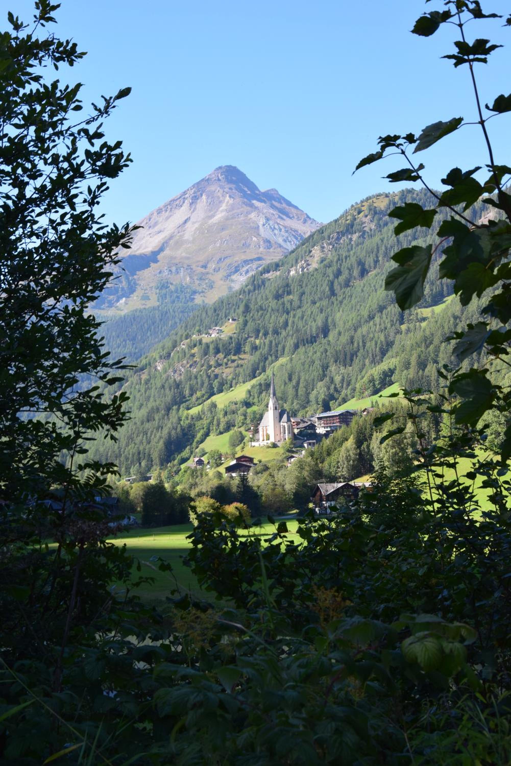 Hotel - Restaurant - Sonnblick