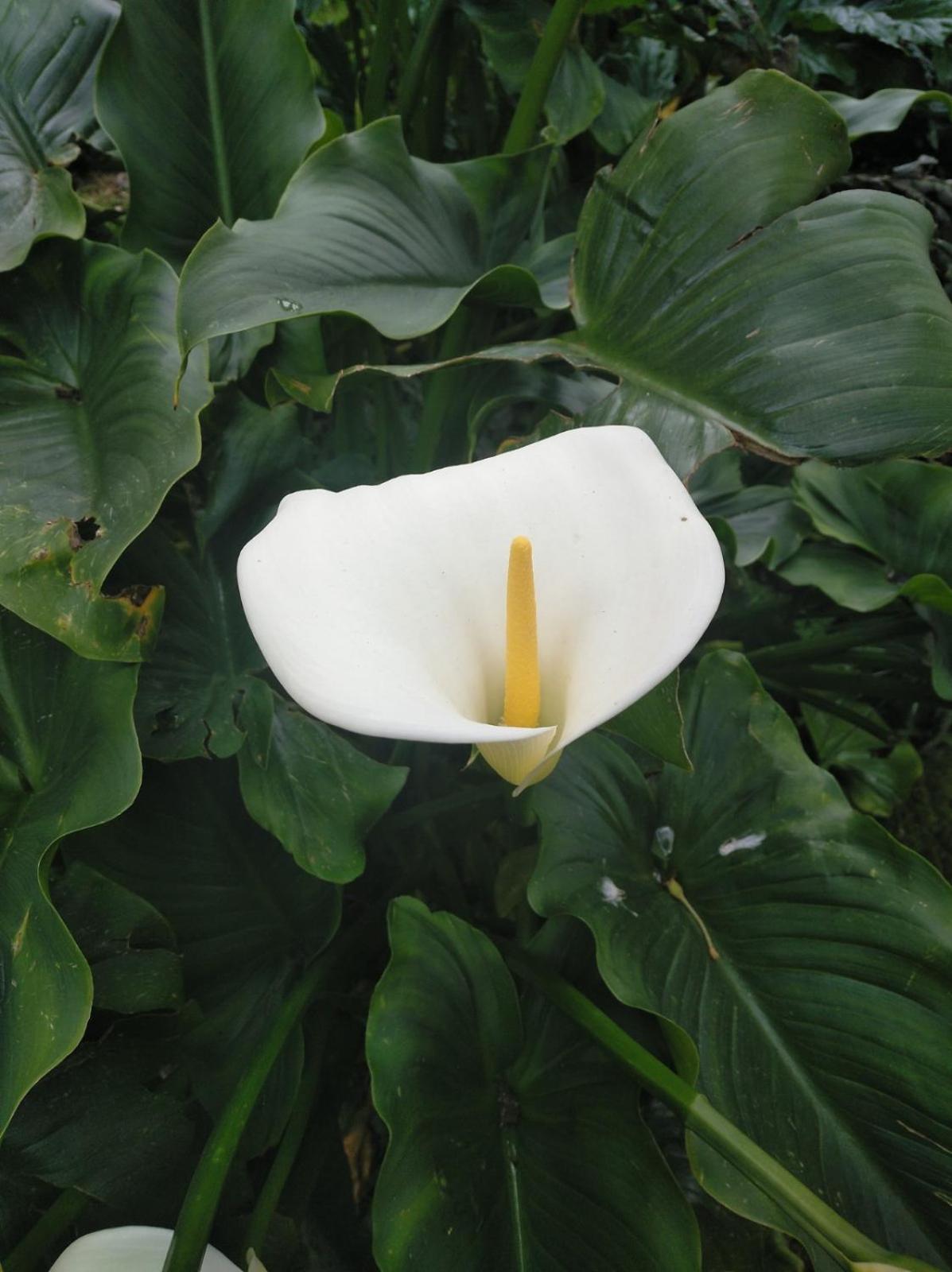Photo 34