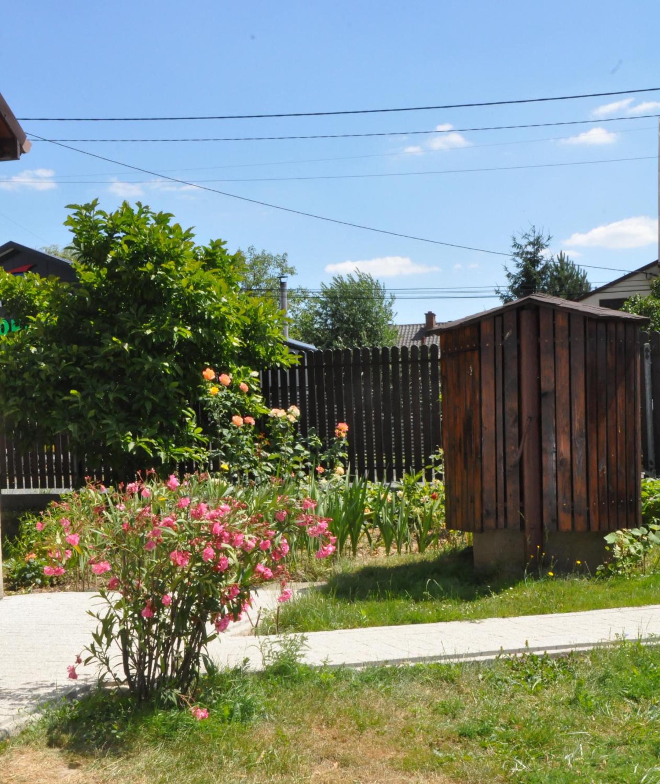 Photo 23