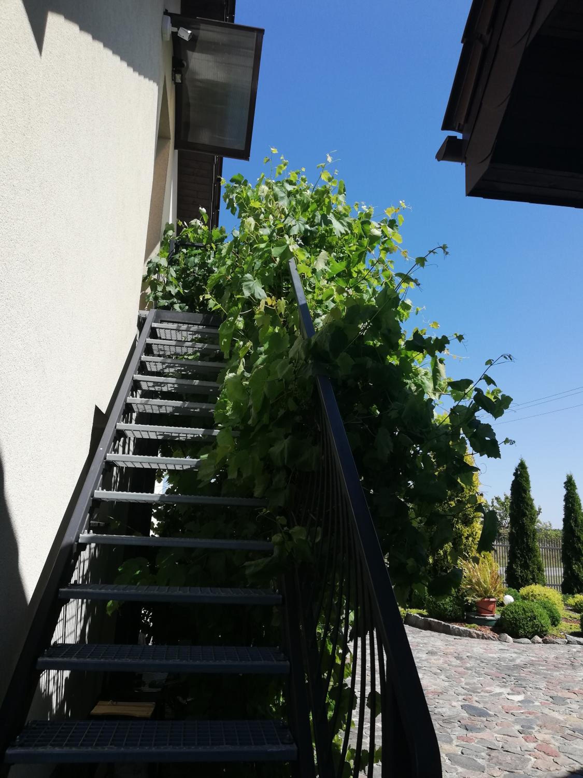 Photo 29