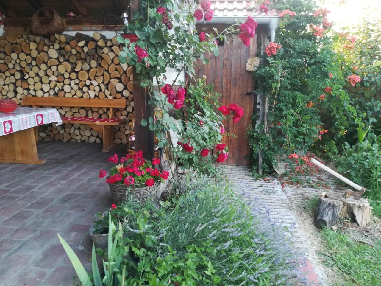 Photo 22