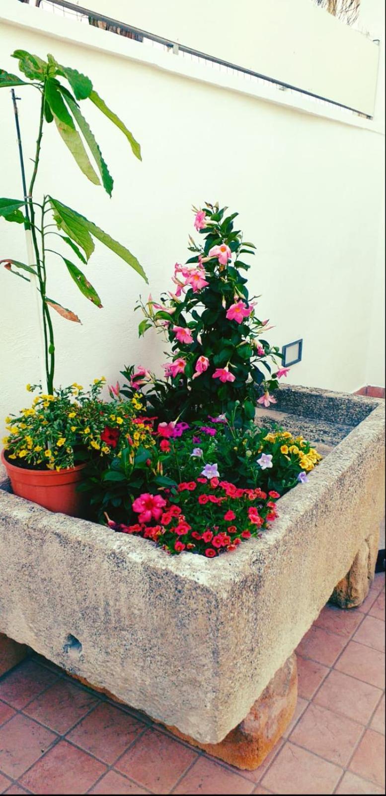 Photo 29
