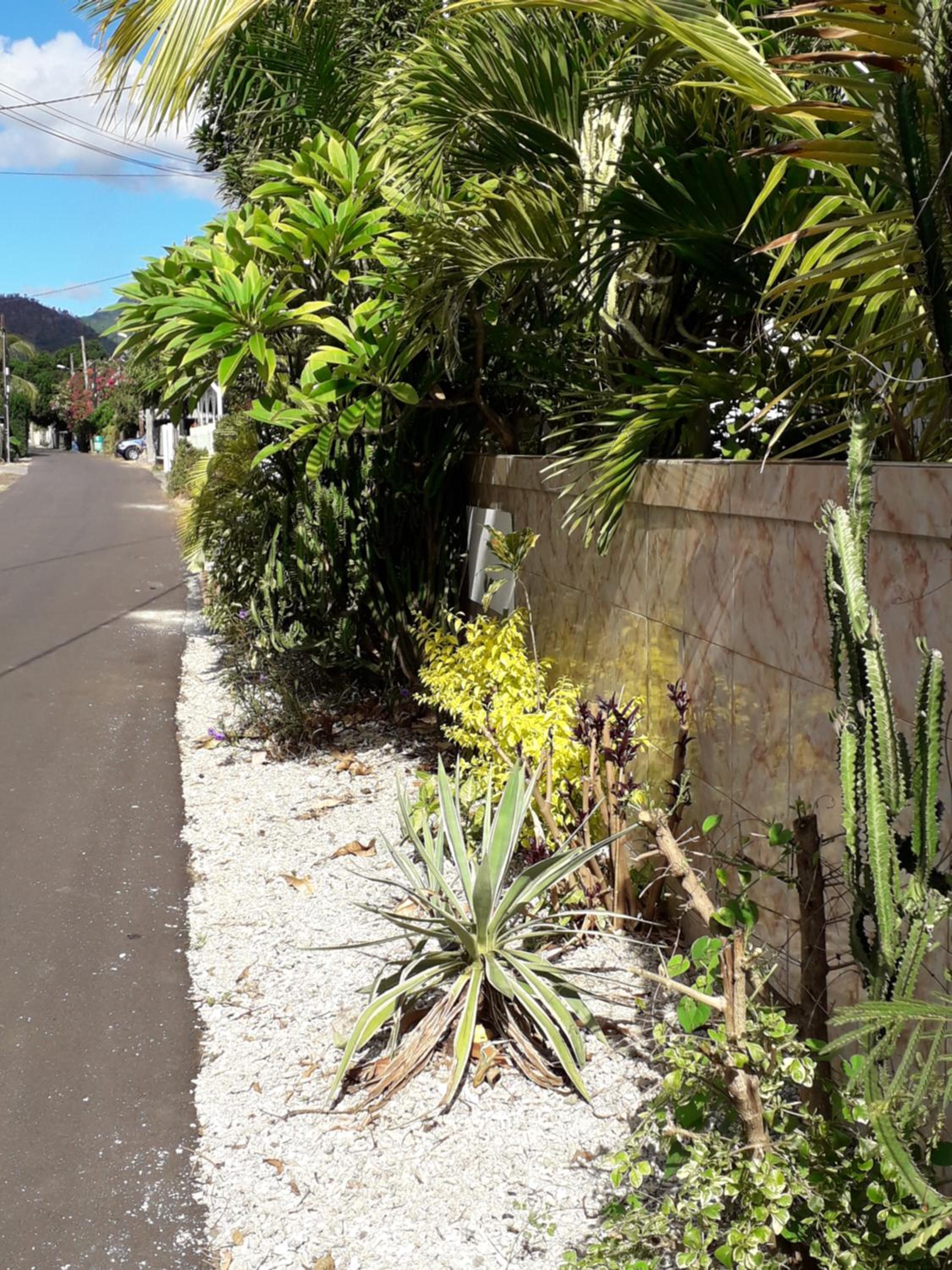 Open Air Café & Apartments photo 2